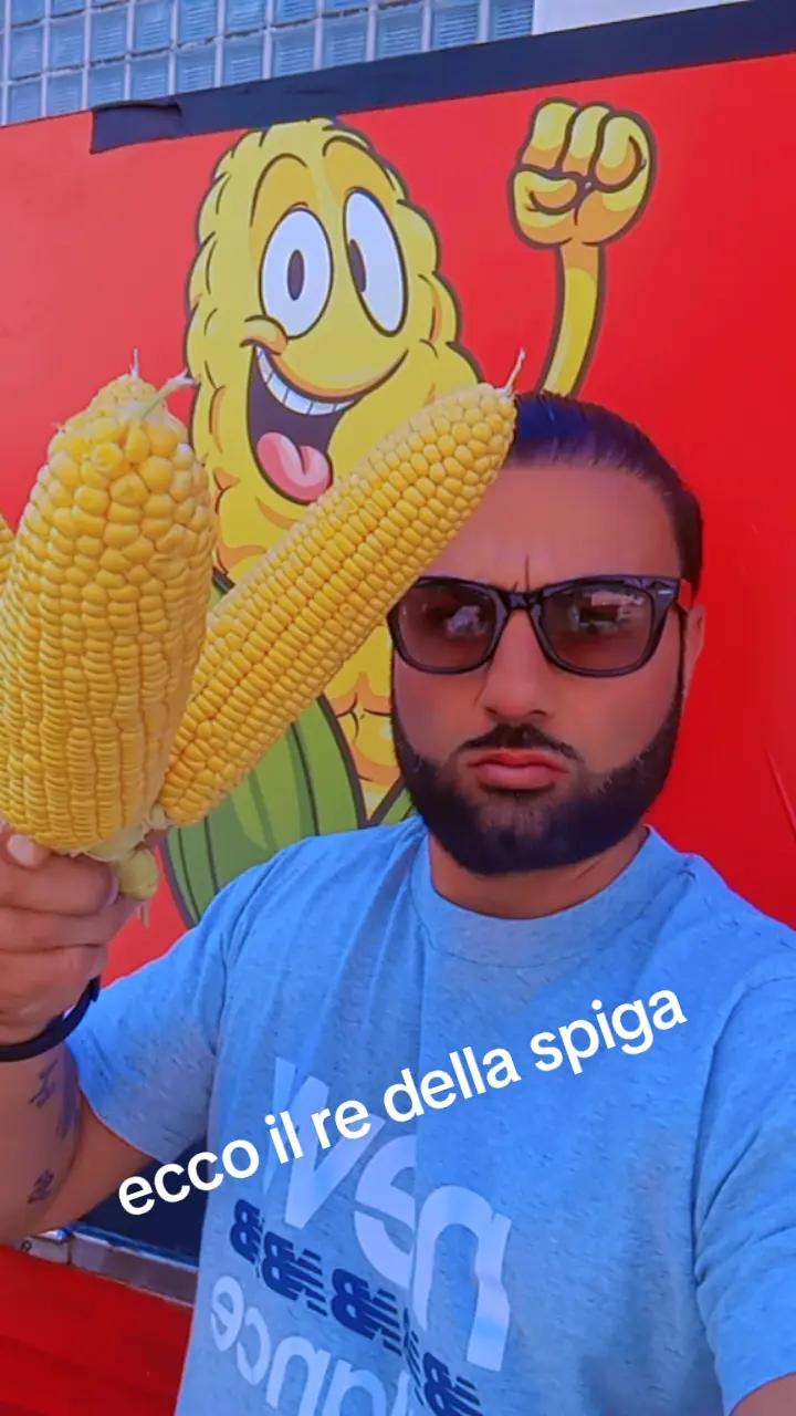 @mister 21 il re della spiga