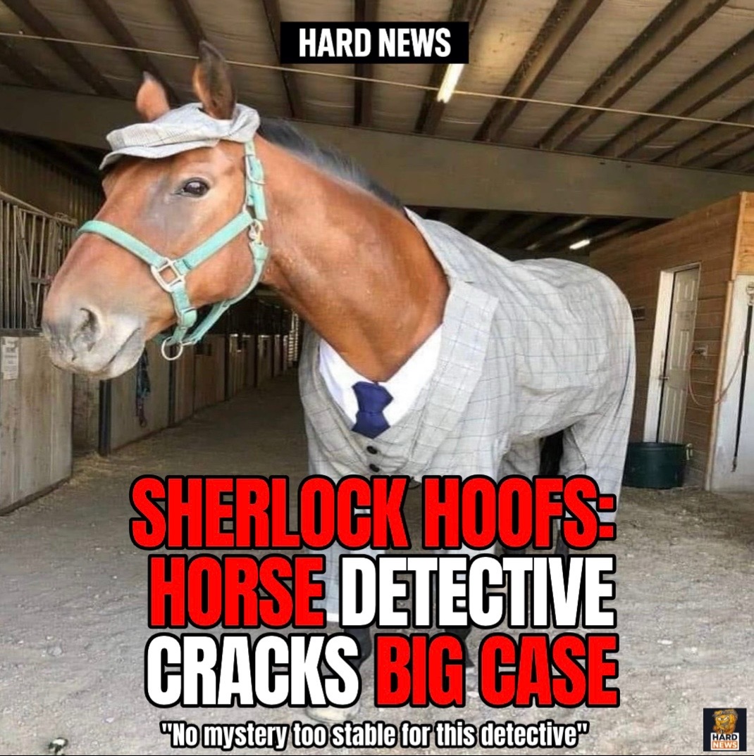@Hard News