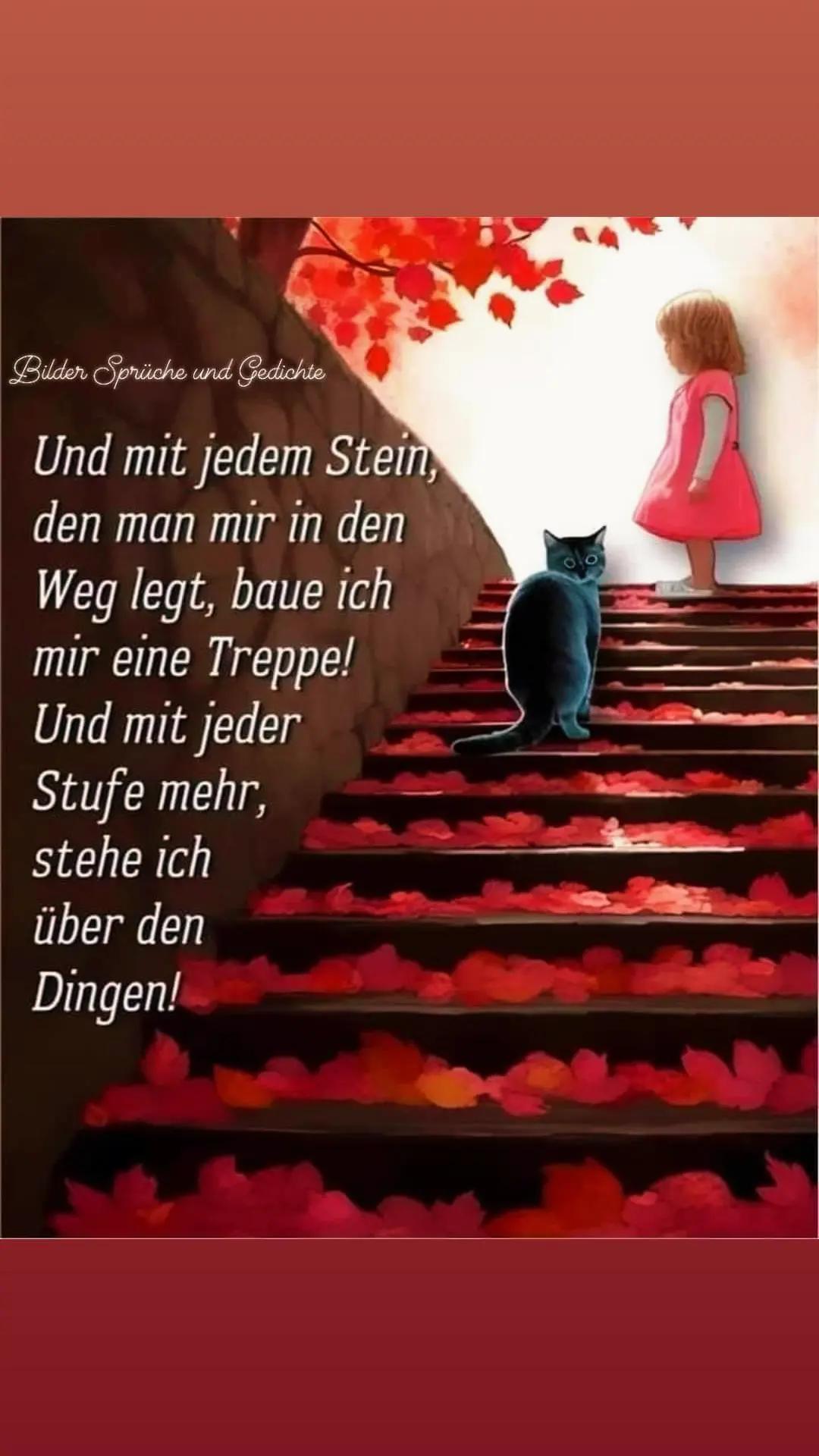 @🤜❤️🖤💎 𝕾𝖚𝖘𝖎 𝕭.💎🖤❤️🤛