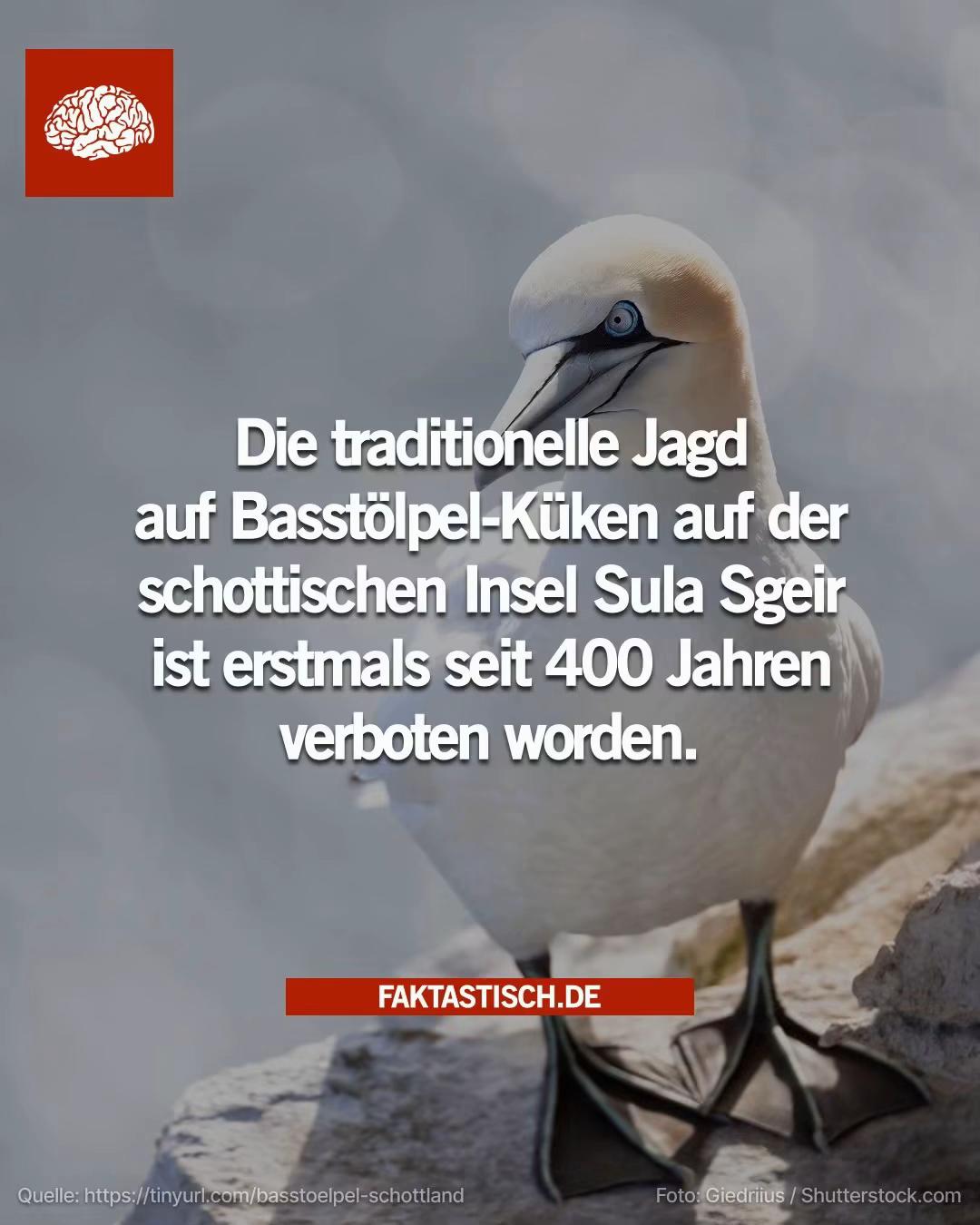 @Faktastisch