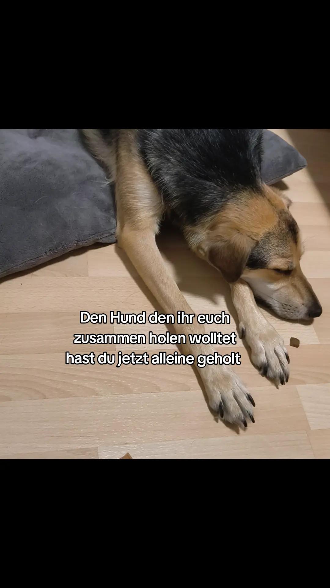 @🥷