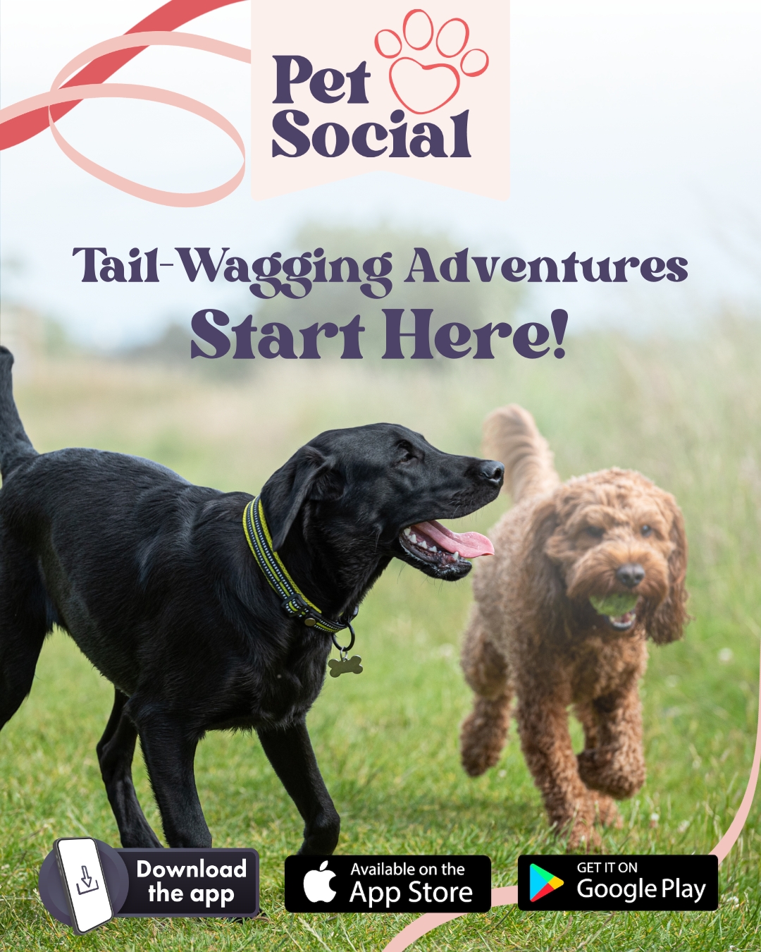 @Pet Social UK