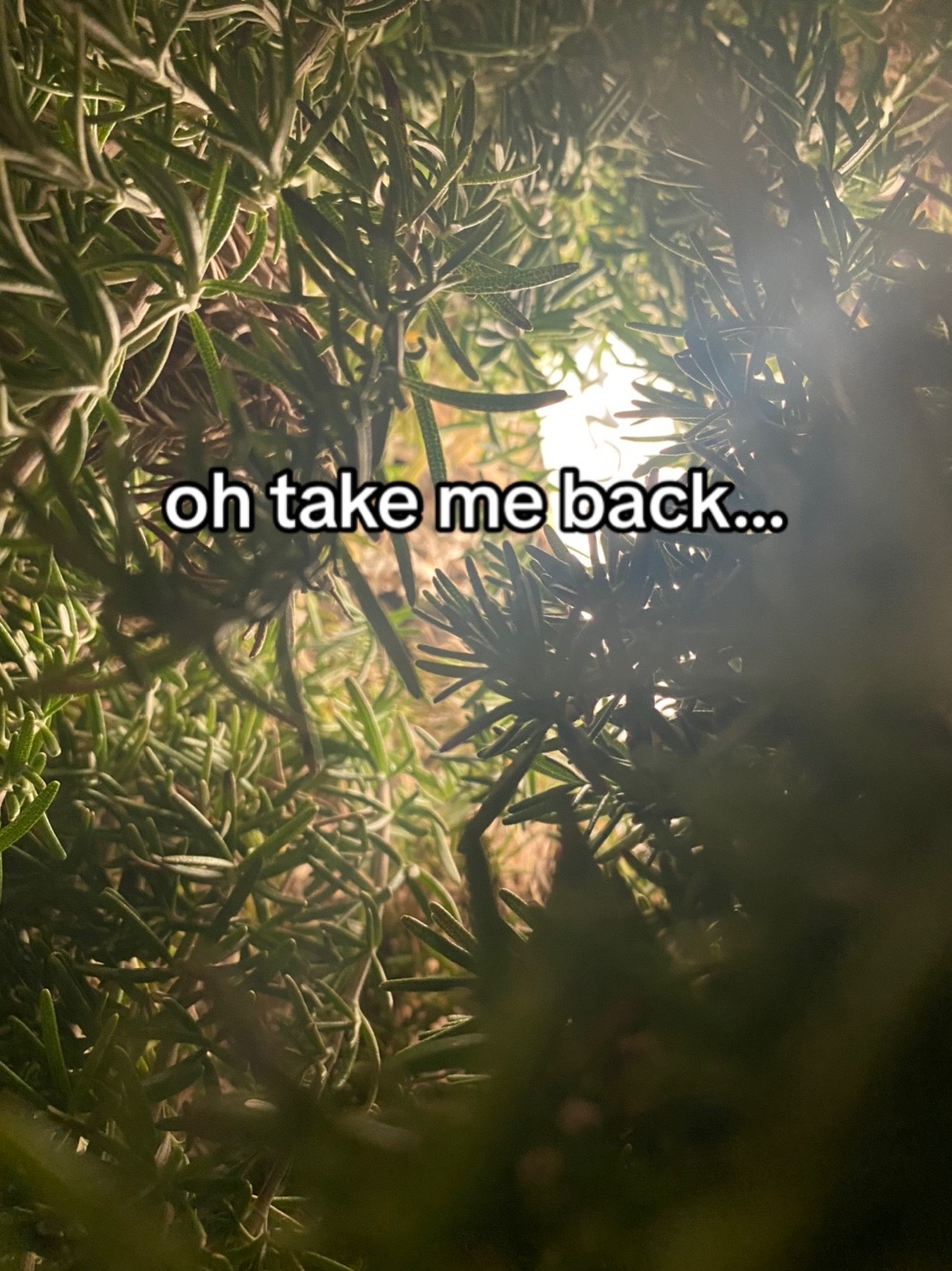 @𝖘𝖆𝖗𝖆