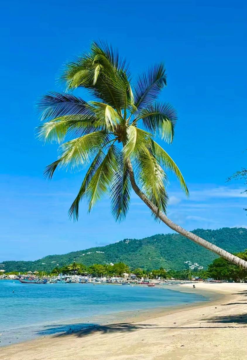 @🏝️ Magical Island Samui 🌴🍹