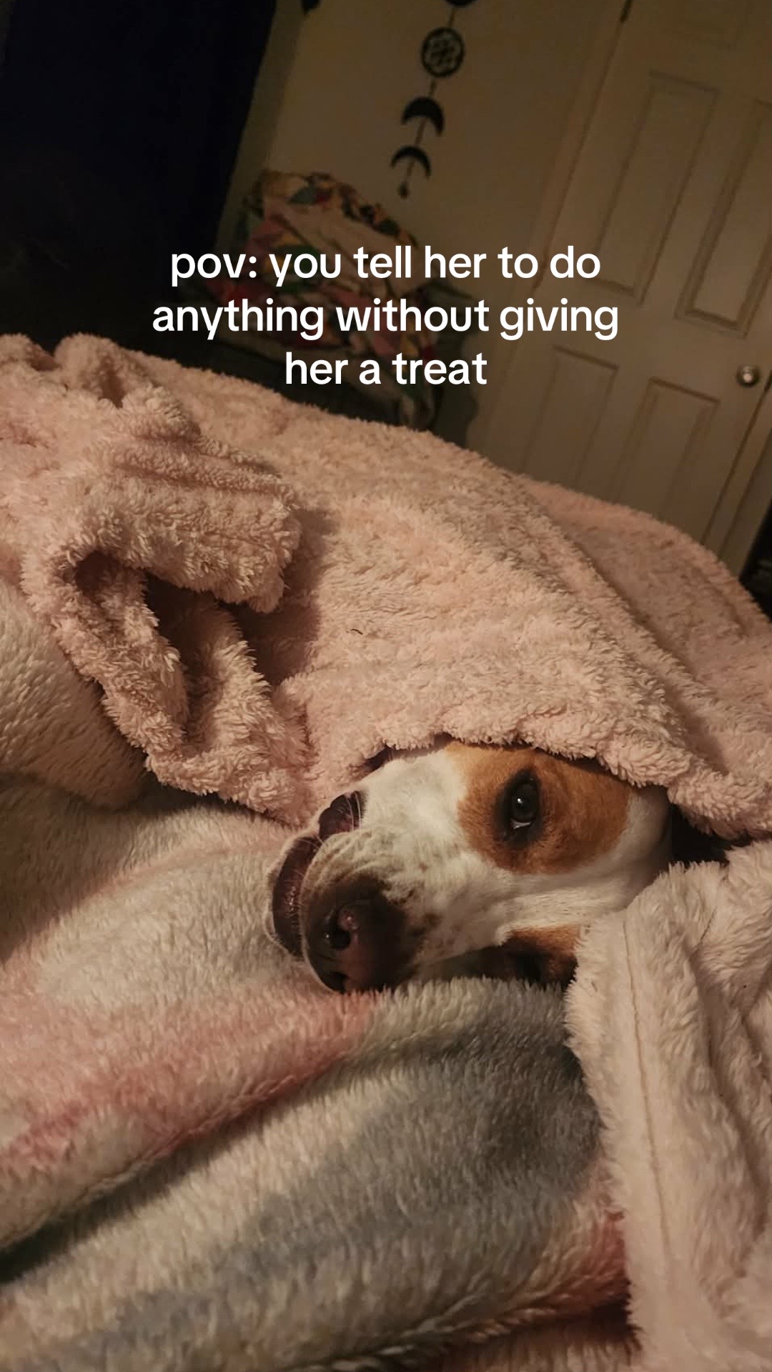 @Sproutie 🐶