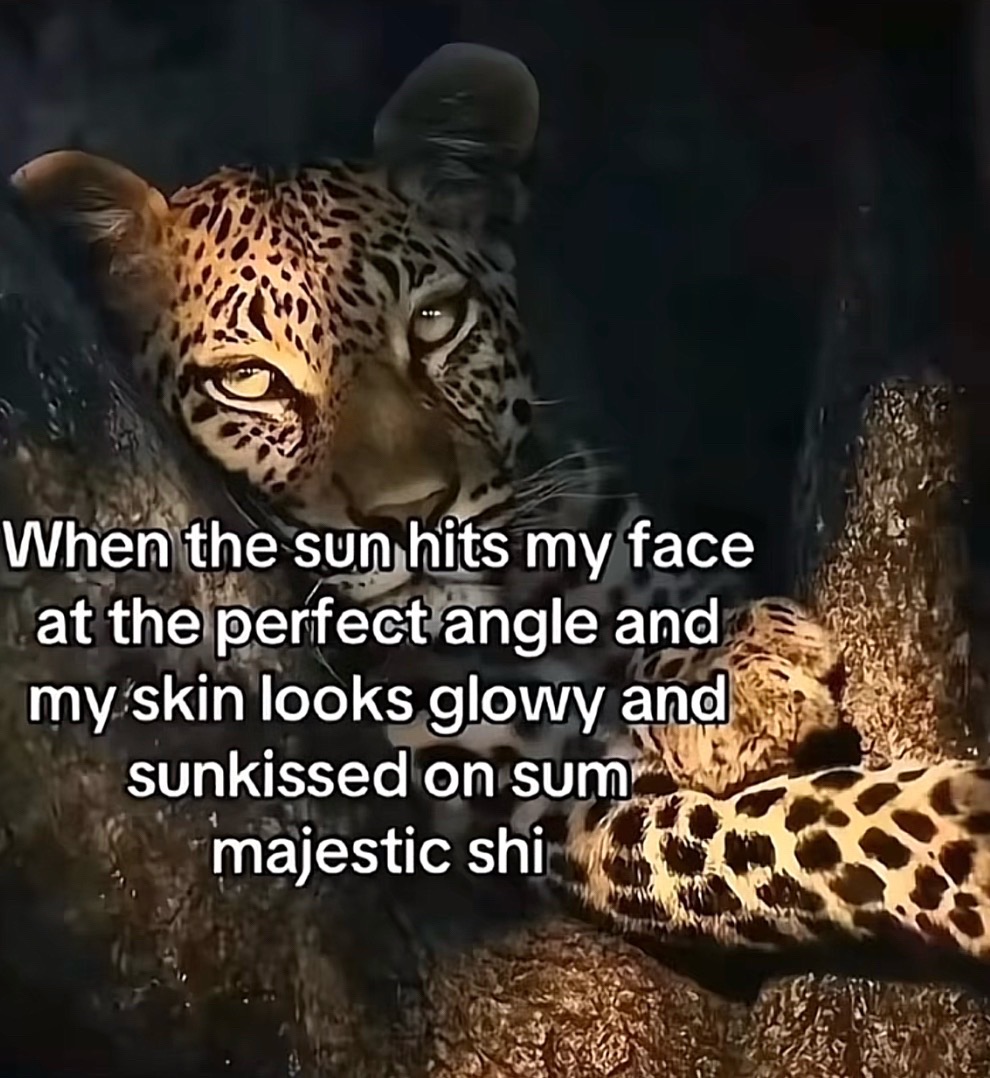 @꒰ྀི১𝓘𝓽𝔃.𝓑𝓲𝓪𝓷𝓴𝓪໒꒱ིྀ