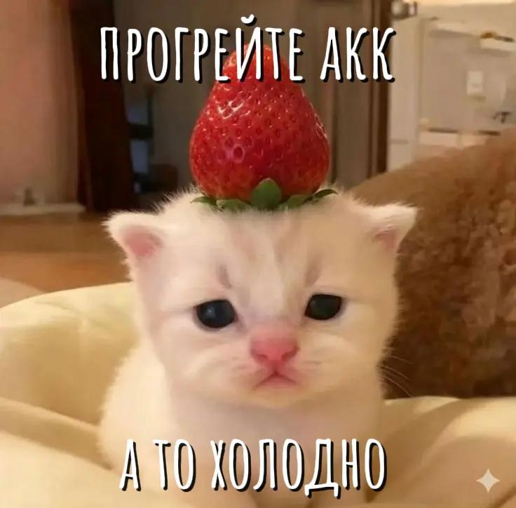 @тэи