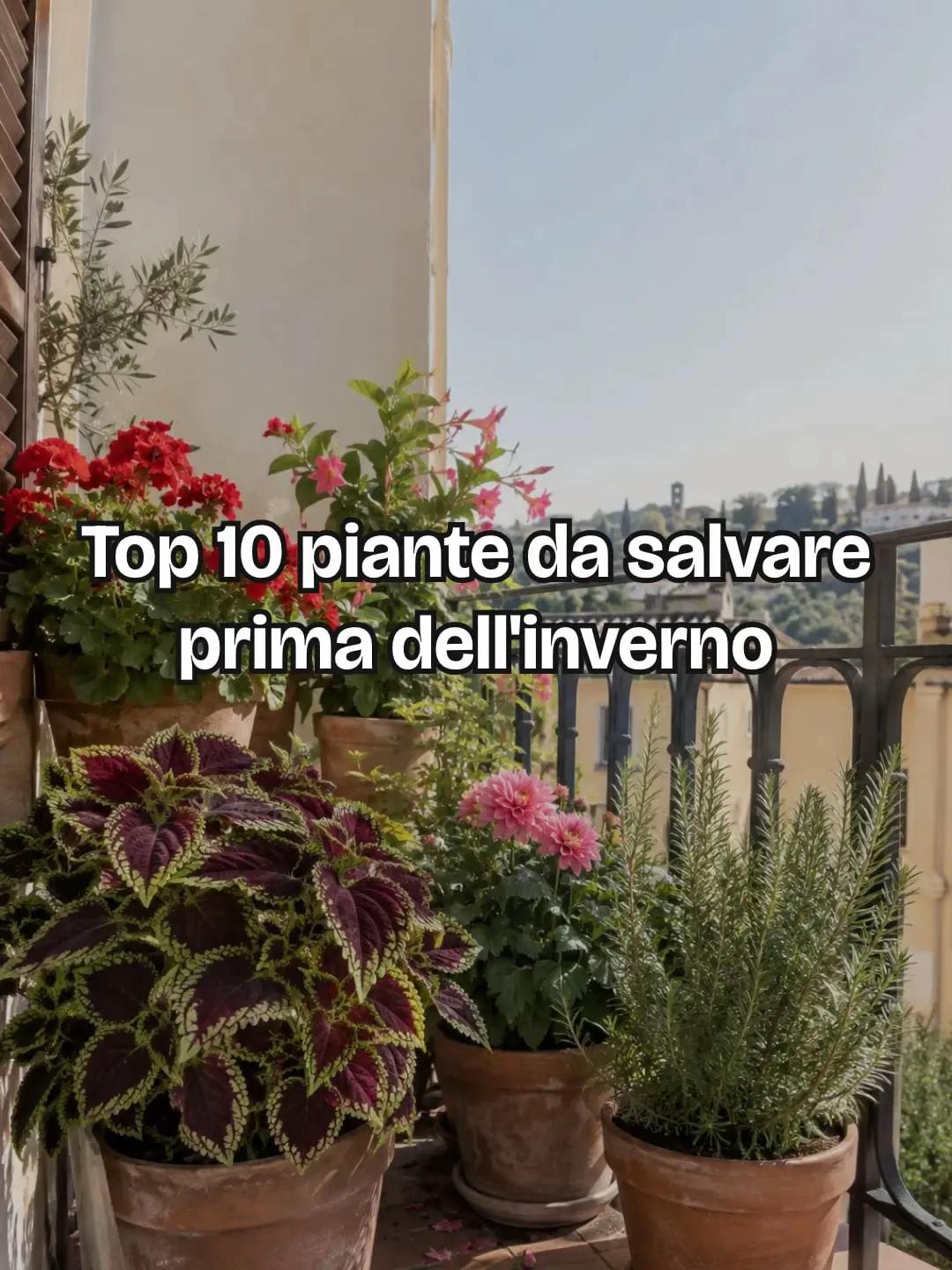 @Anna.dsantis
