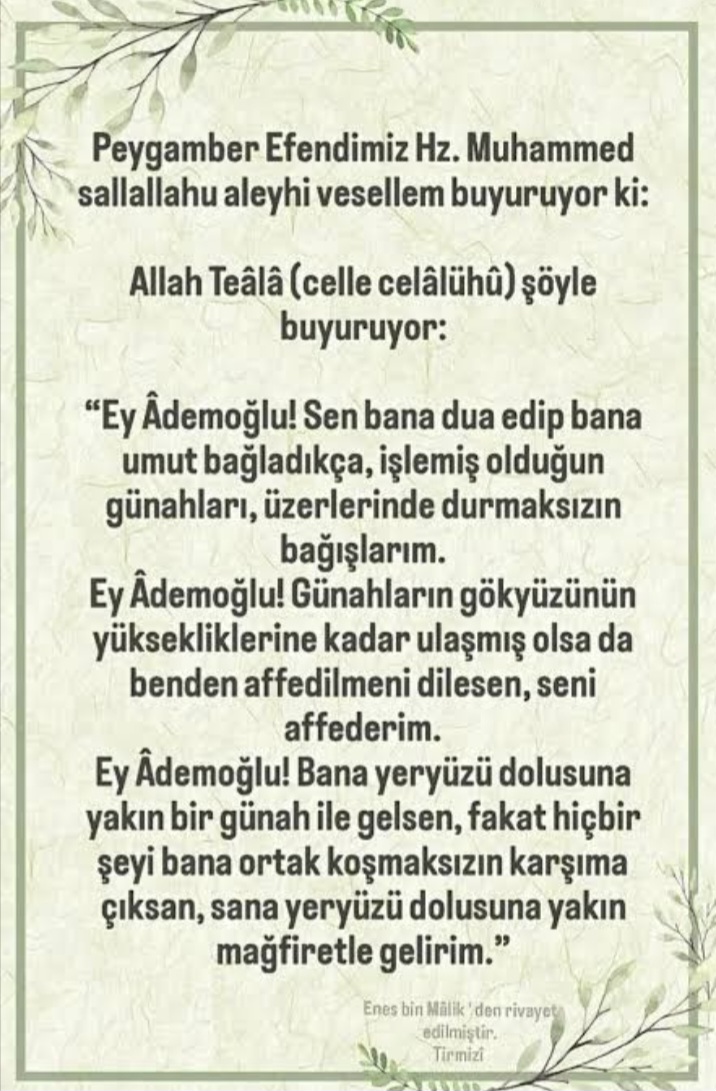 @Hayat Yolu