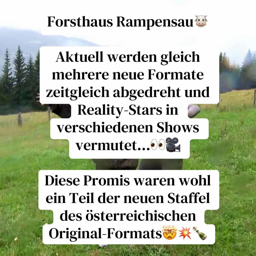 @Reality Ger&uuml;chtek&uuml;che
