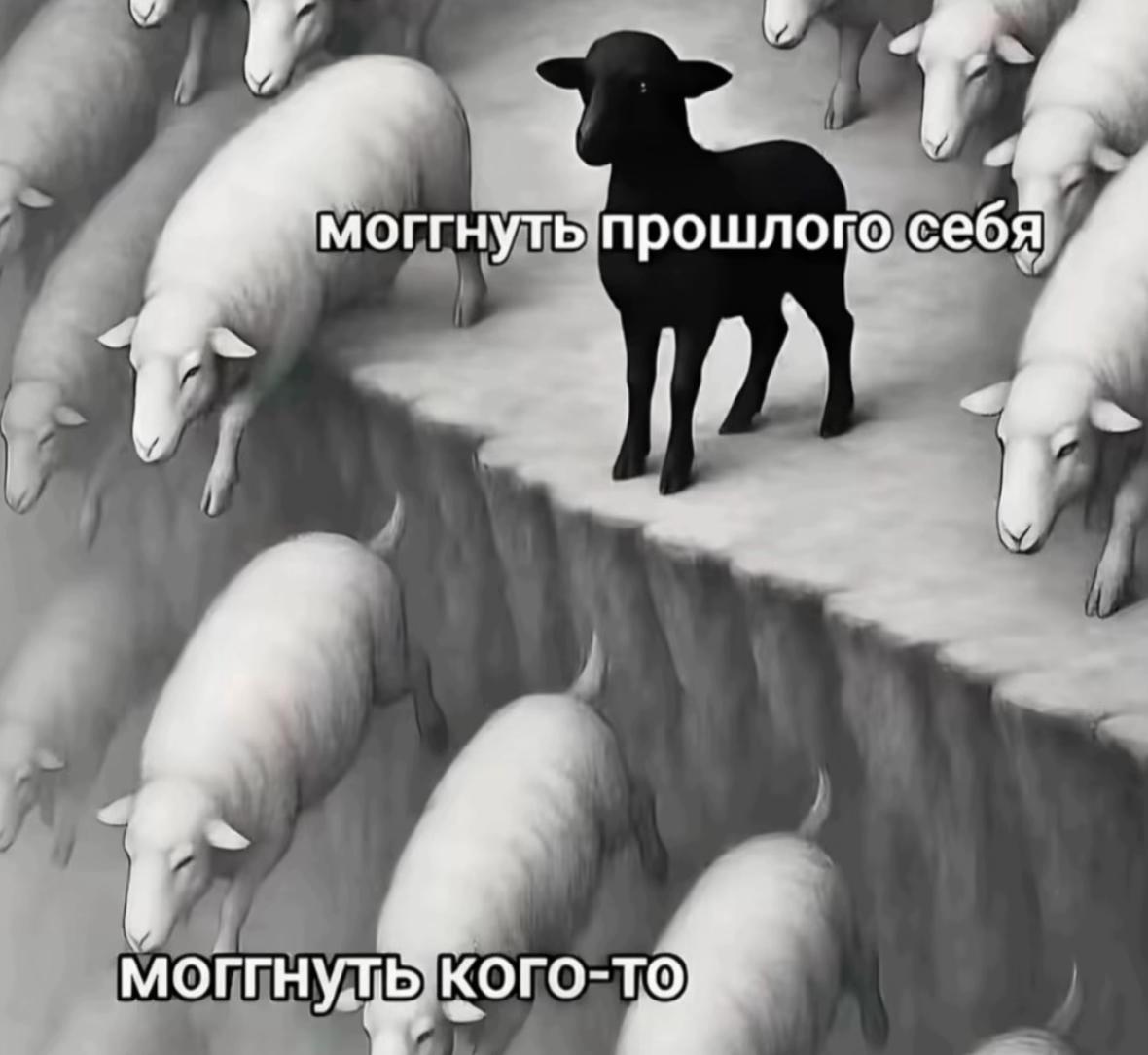 @maksguf 🥷🏻🫀
