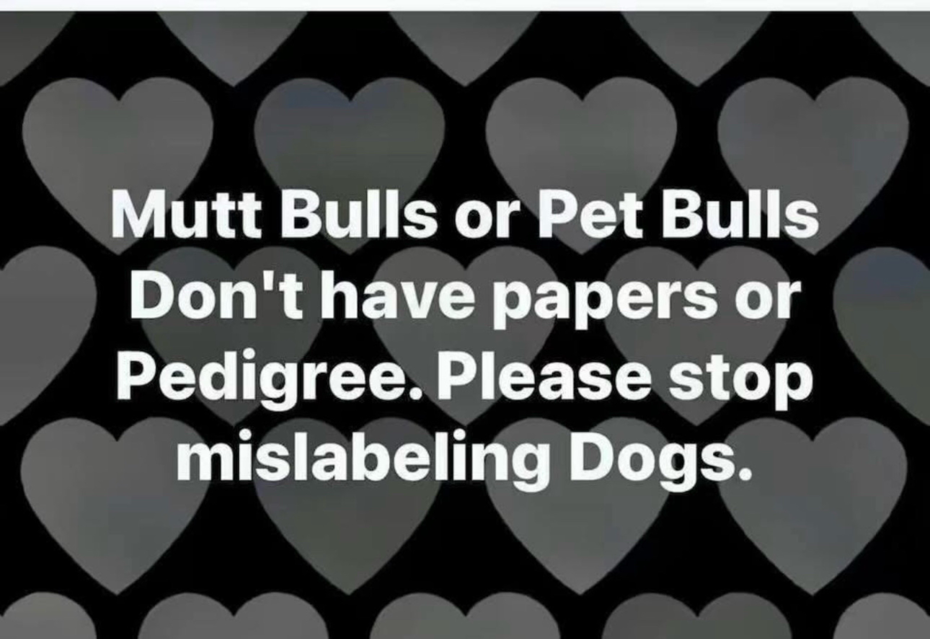 @OGMasterOfAllBulldogs