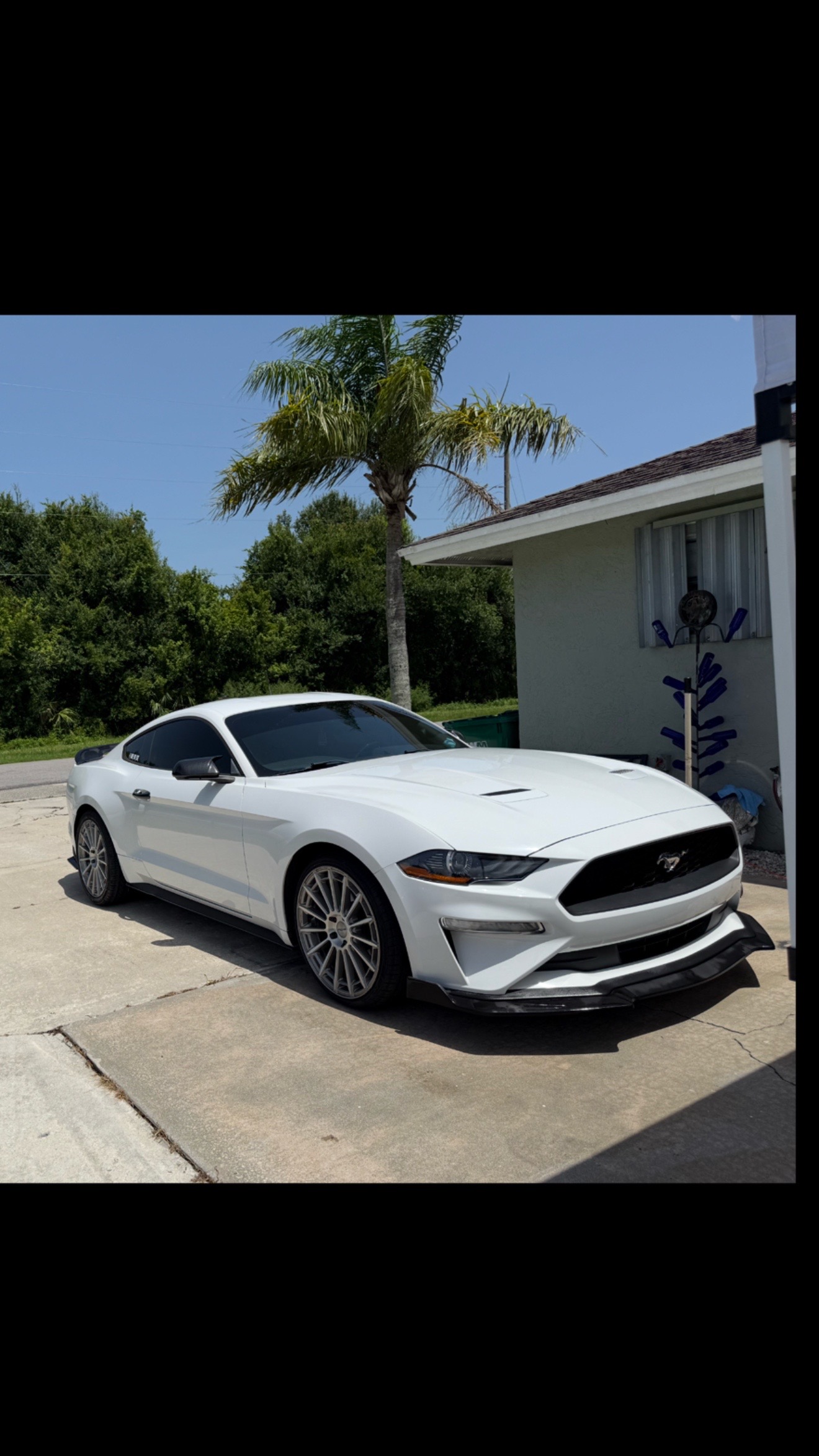 @brieeezyyy_stang