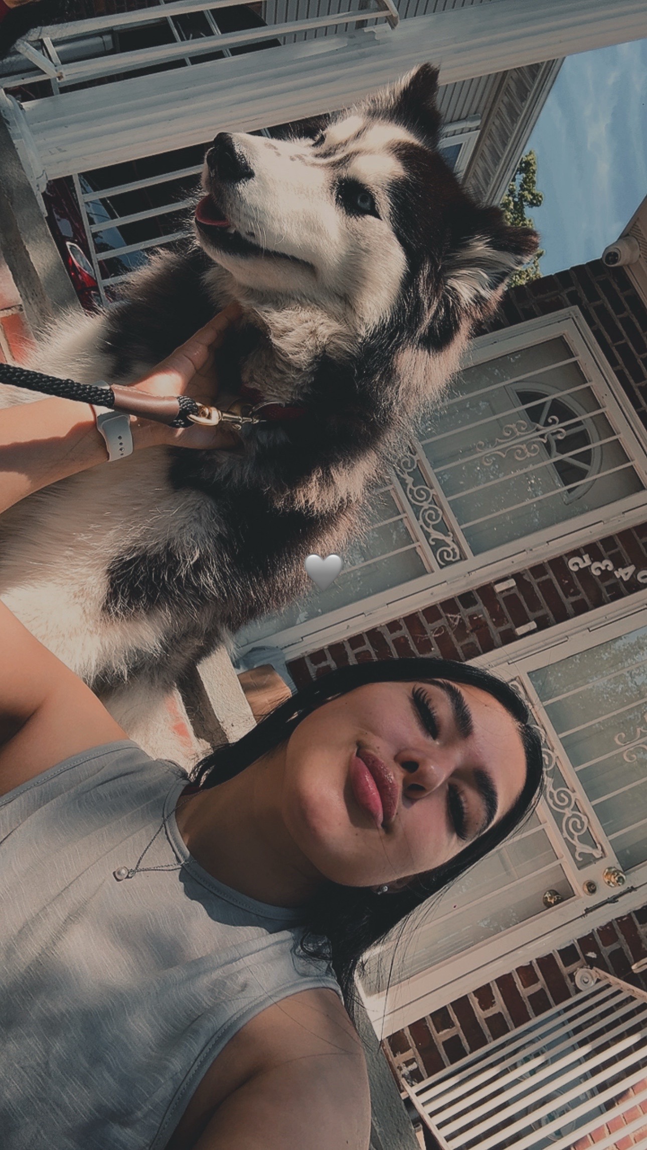 @DADA🌸🐽