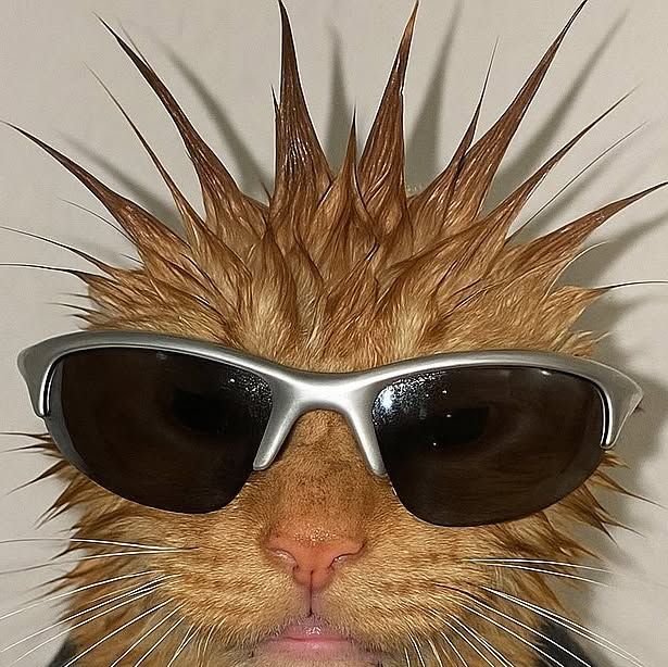 @:3
