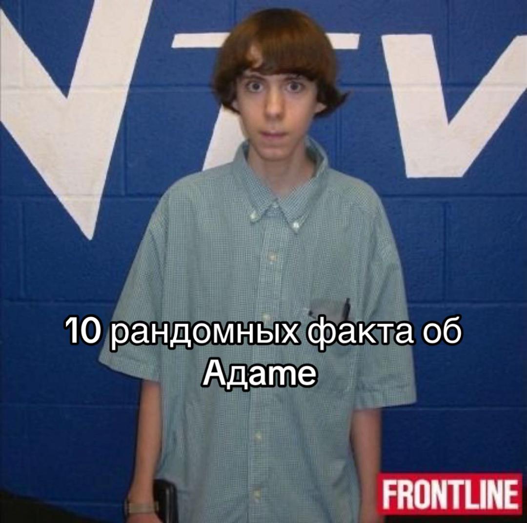 @cat