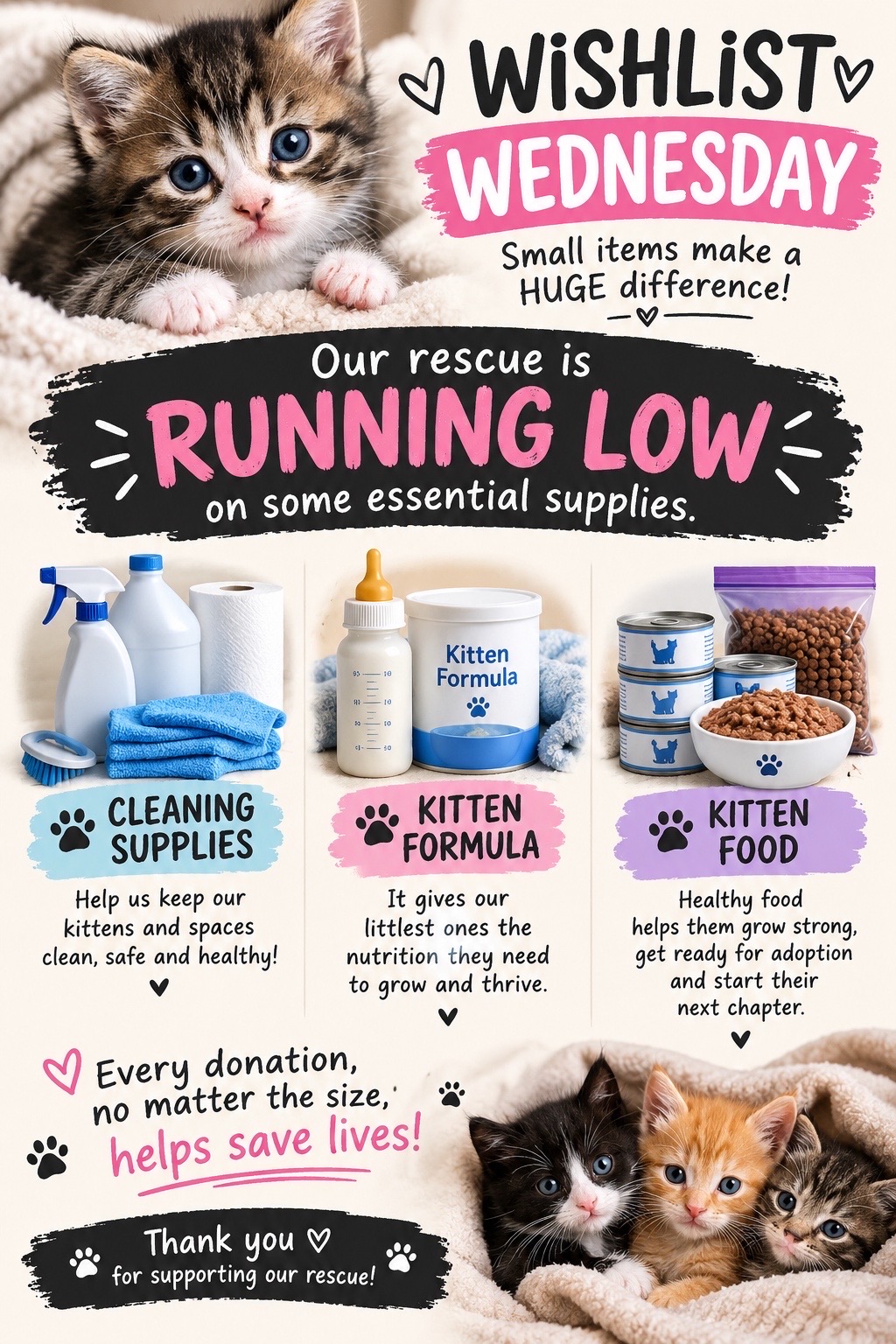 @Kitten.mama
