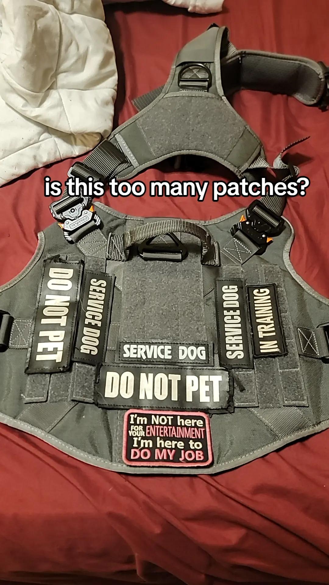 @Leo, Blitz & Dakota