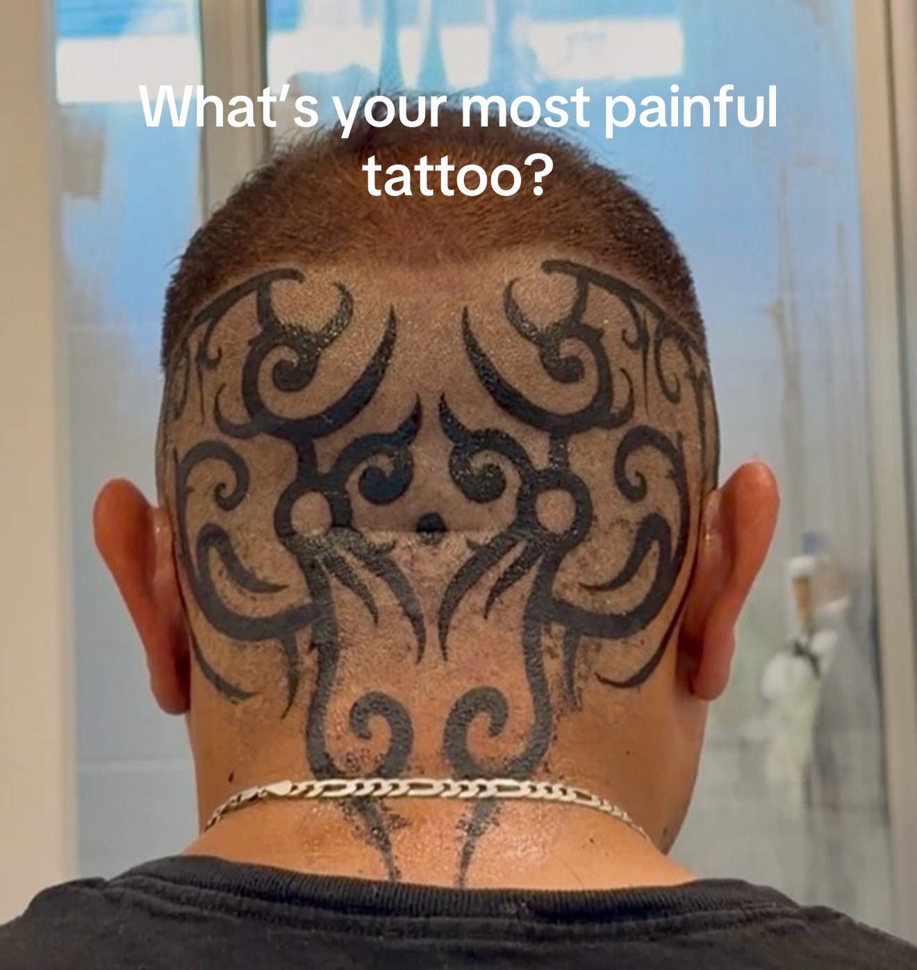 @Animal_kingg