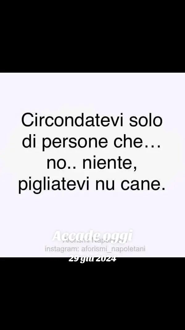 @Sdiplomaticasempre