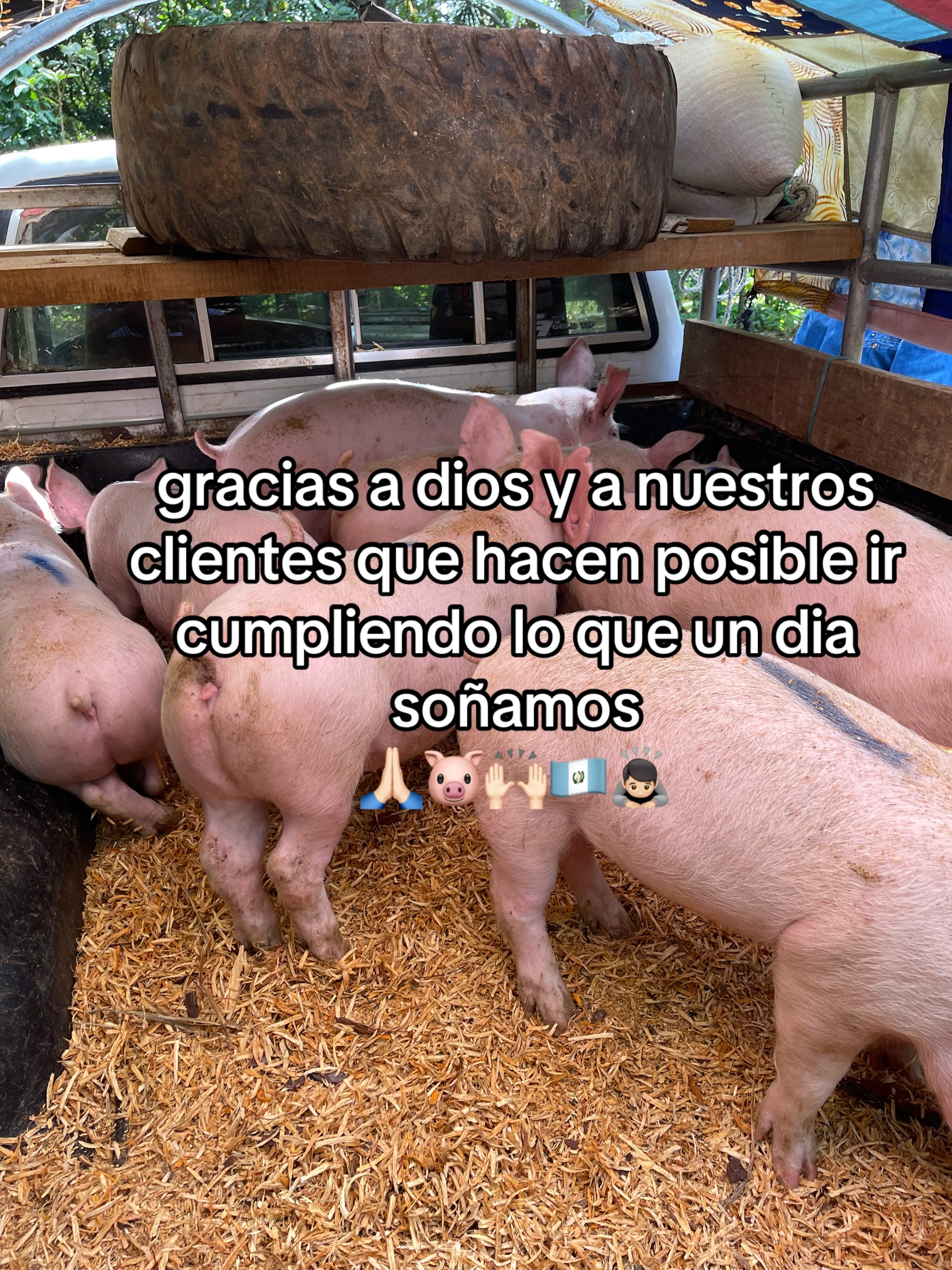 @granja_bendicion_de_dios