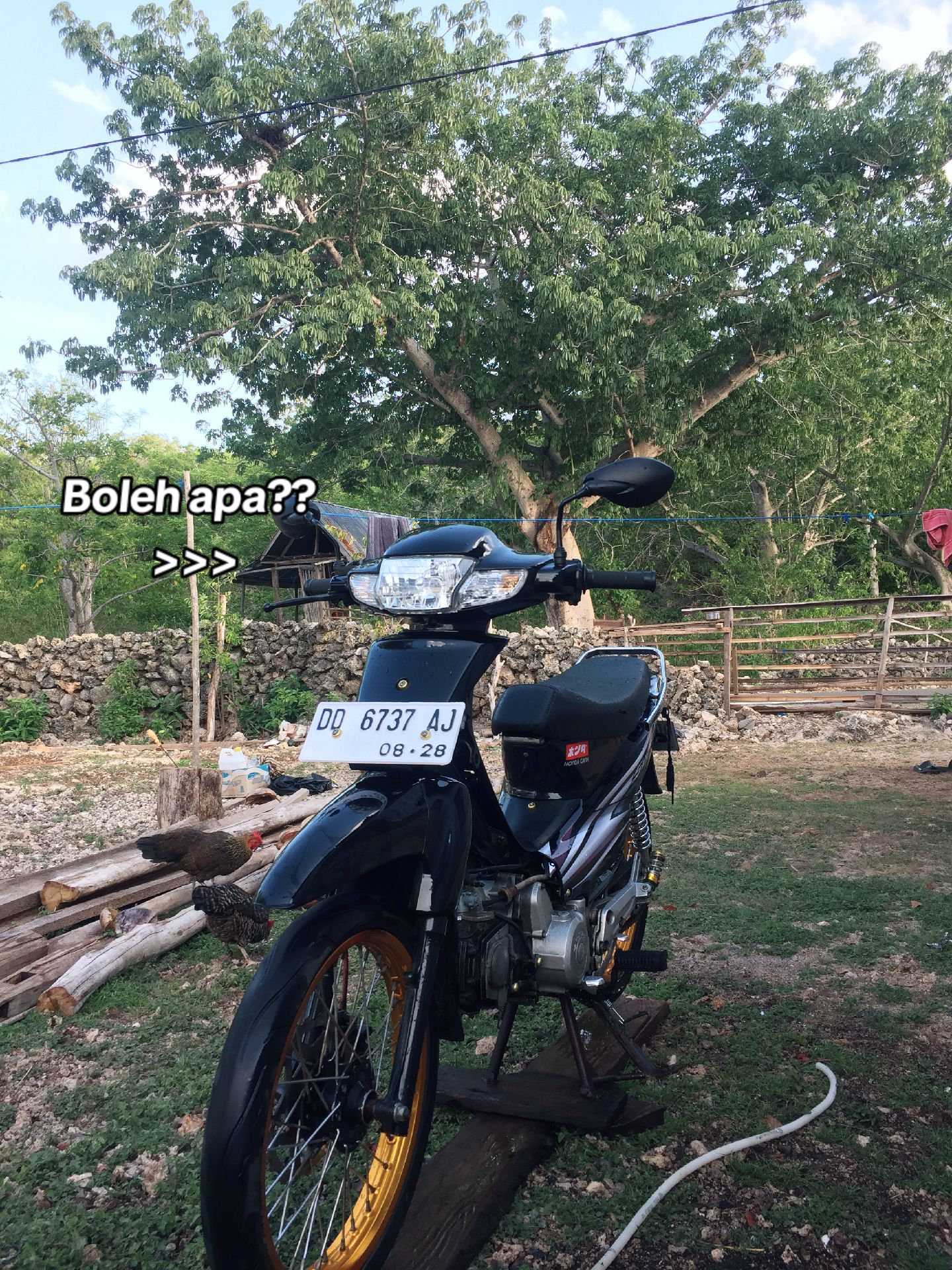 @19Novemberr