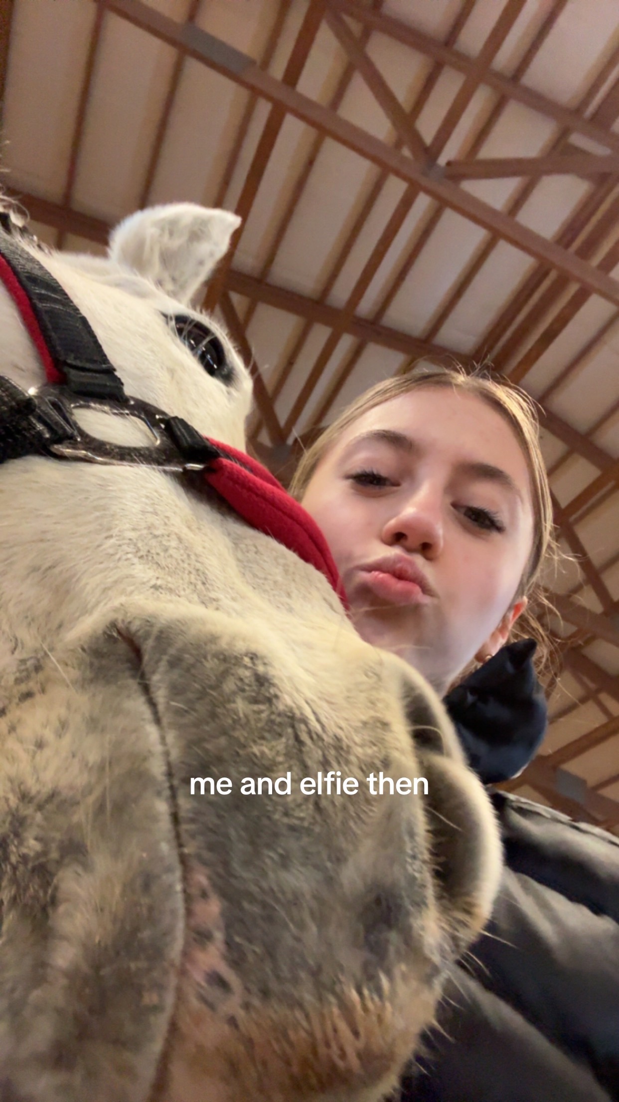 @Morgan krieg