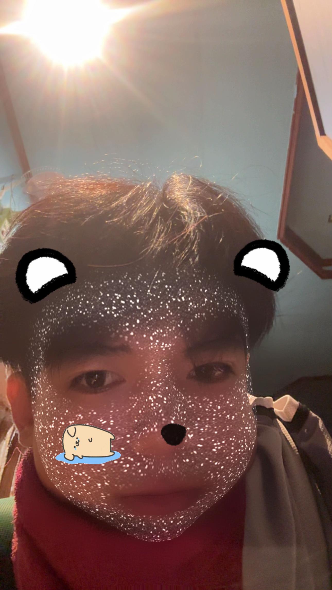 @𝐓𝐎𝐌𝐌𝐘 🐾