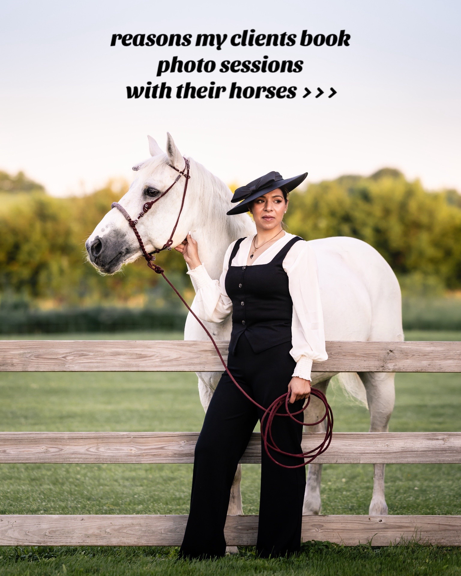 @Tisha 📸🦄 Equestrian&ensp;Photog