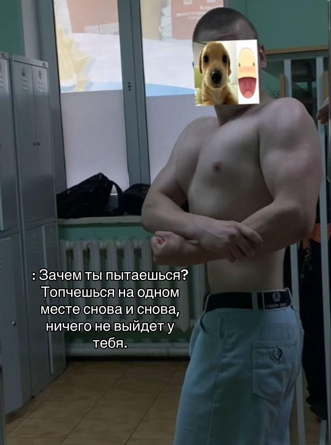 @лсый трцпс