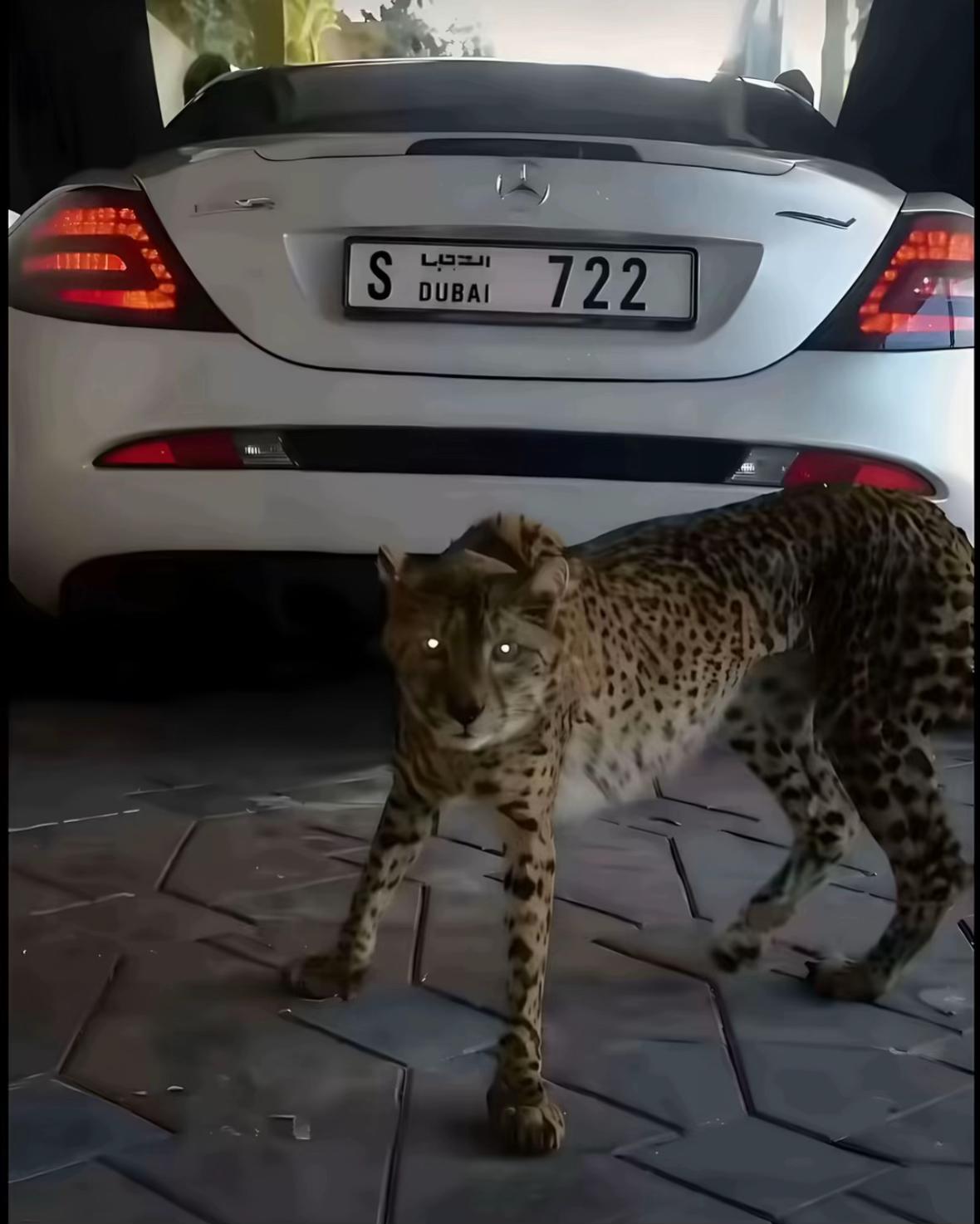 @𝐉𝐨𝐲𝐨𝐫&lsquo;𝐓𝟗𝟑