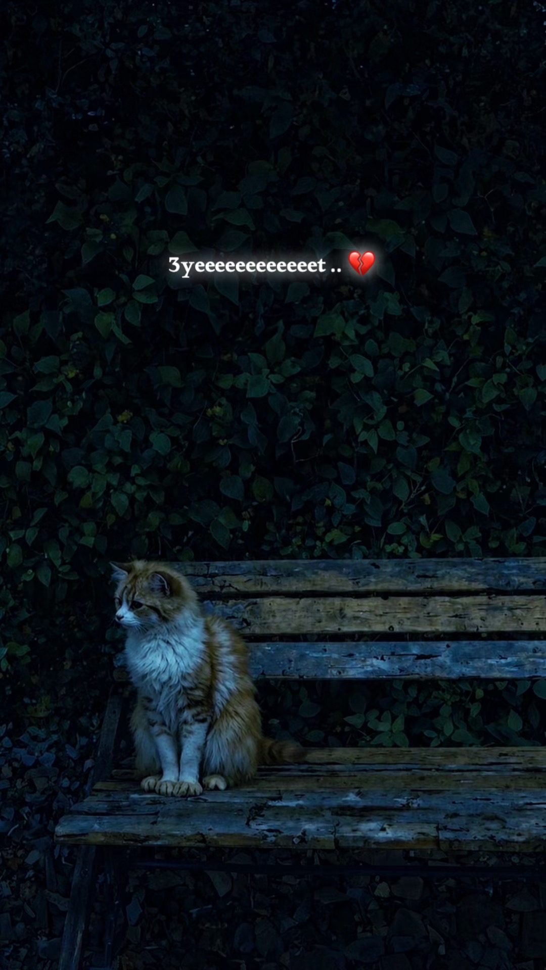 @𝙛𝙧𝙞𝙙𝙪𝙤𝙢  🥀❤️&zwj;🩹