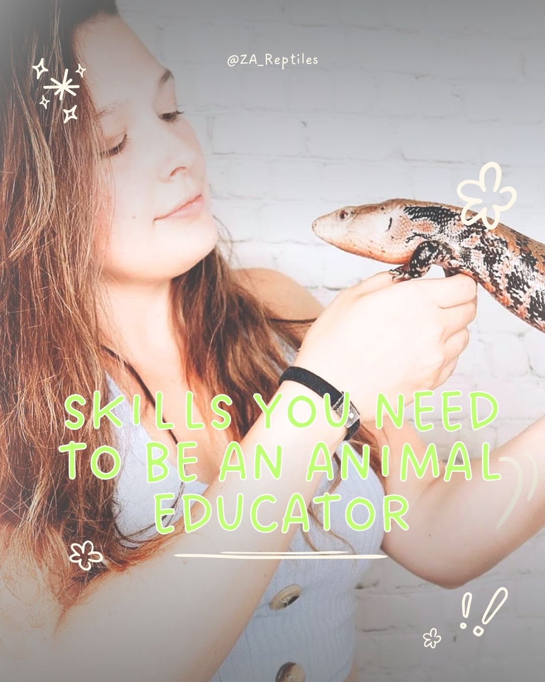 @ZA Reptiles