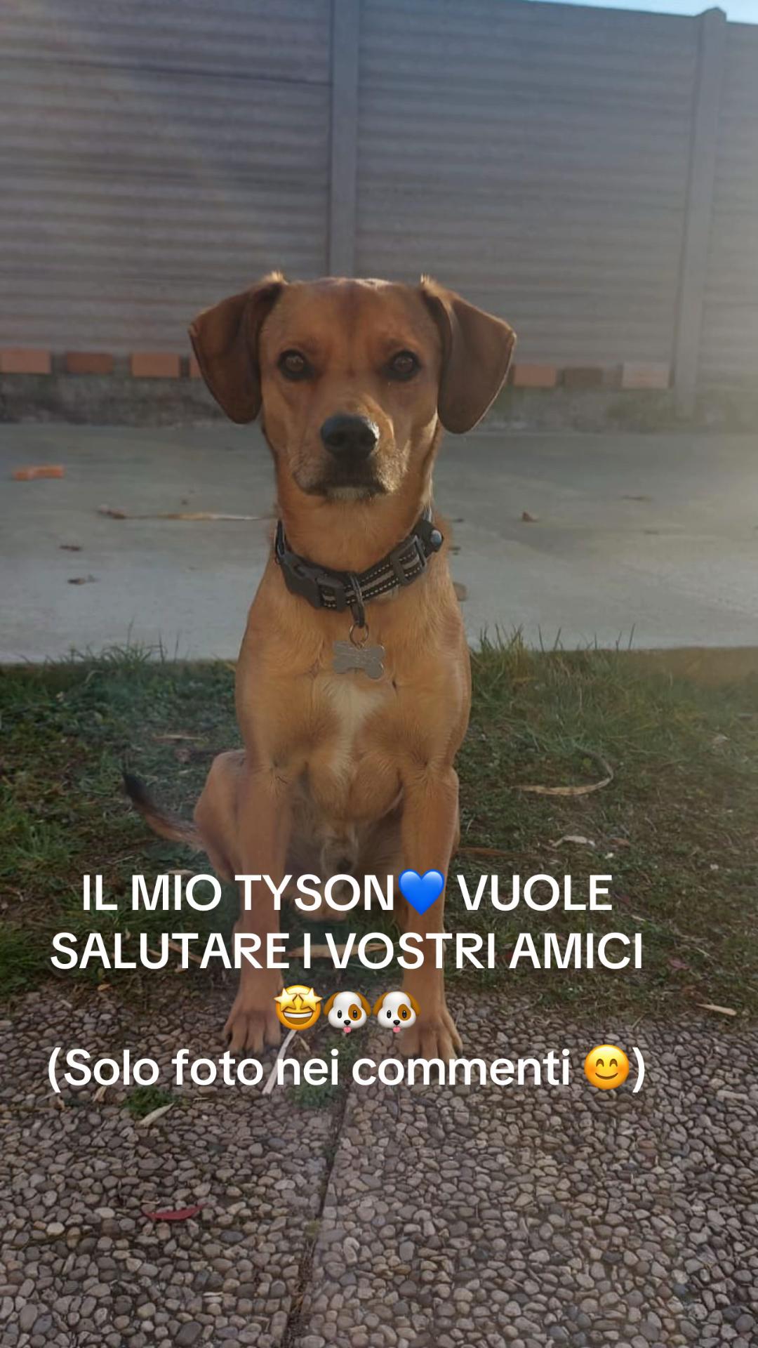 @Stefano