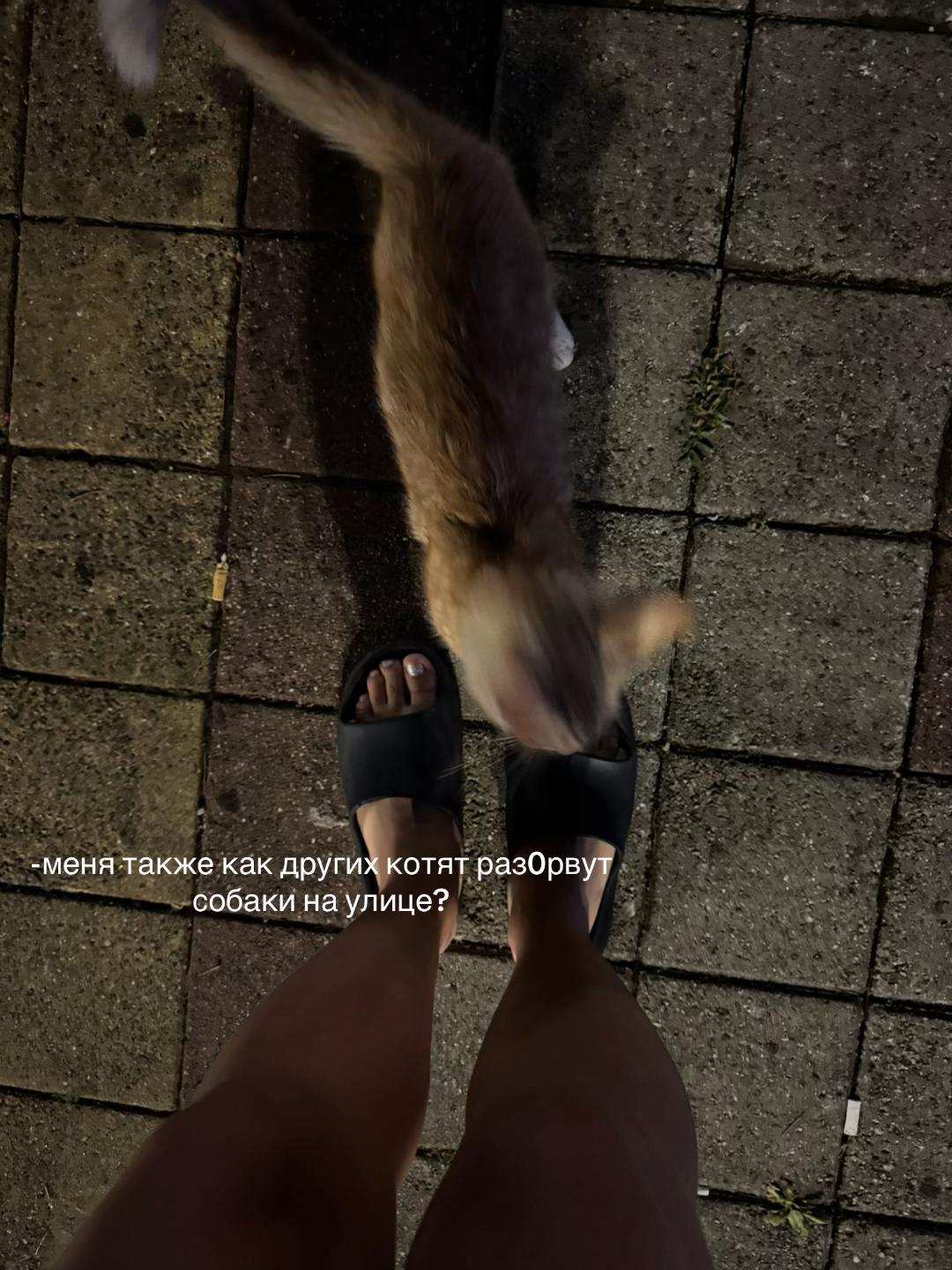 @ULYAXC