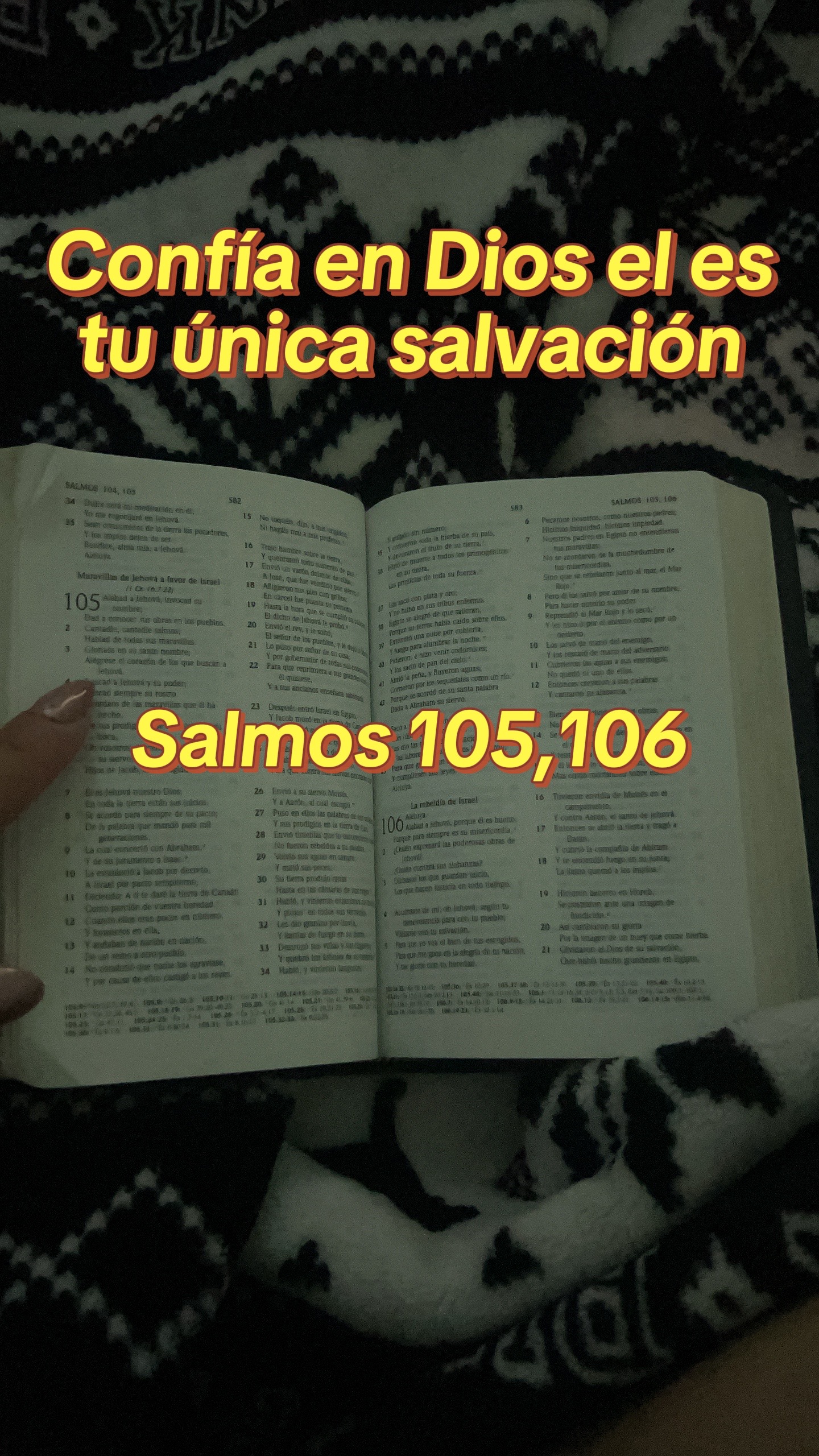 @cindy11.6
