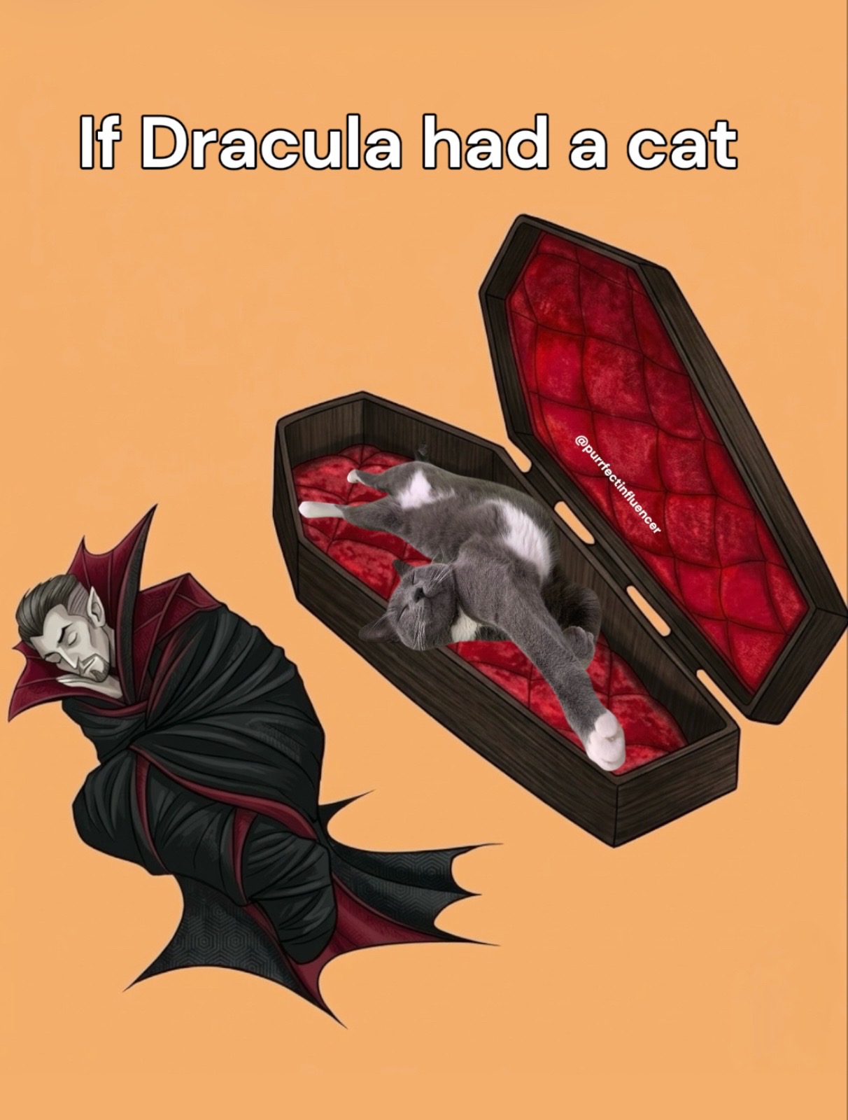 @purrfectinfluencer