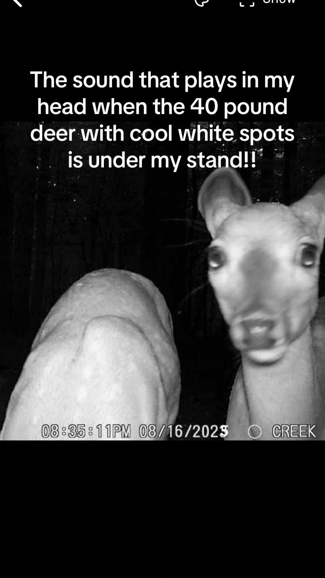 @dean