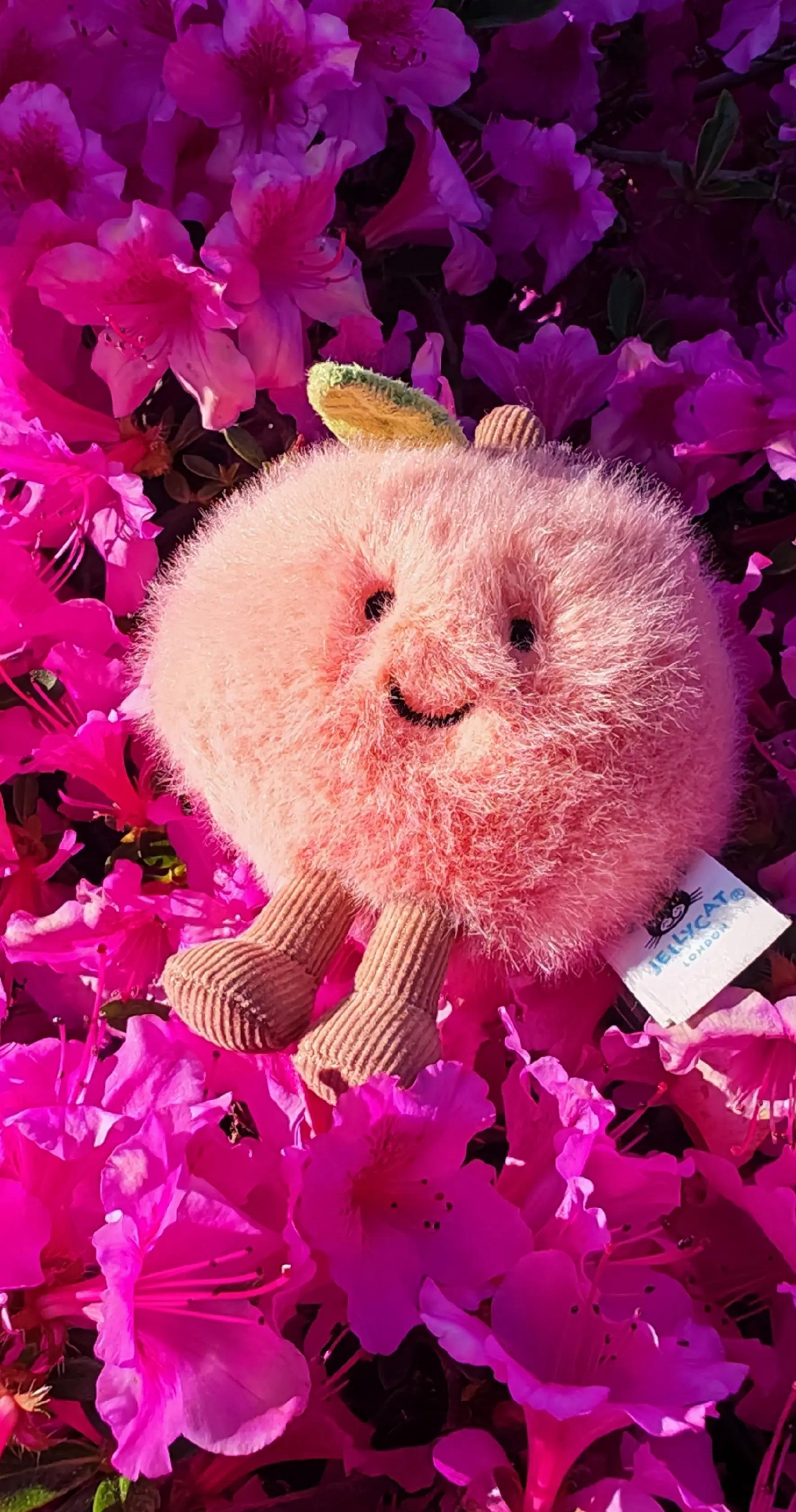 @JellycatDennisBlumengartenK&ouml;ln