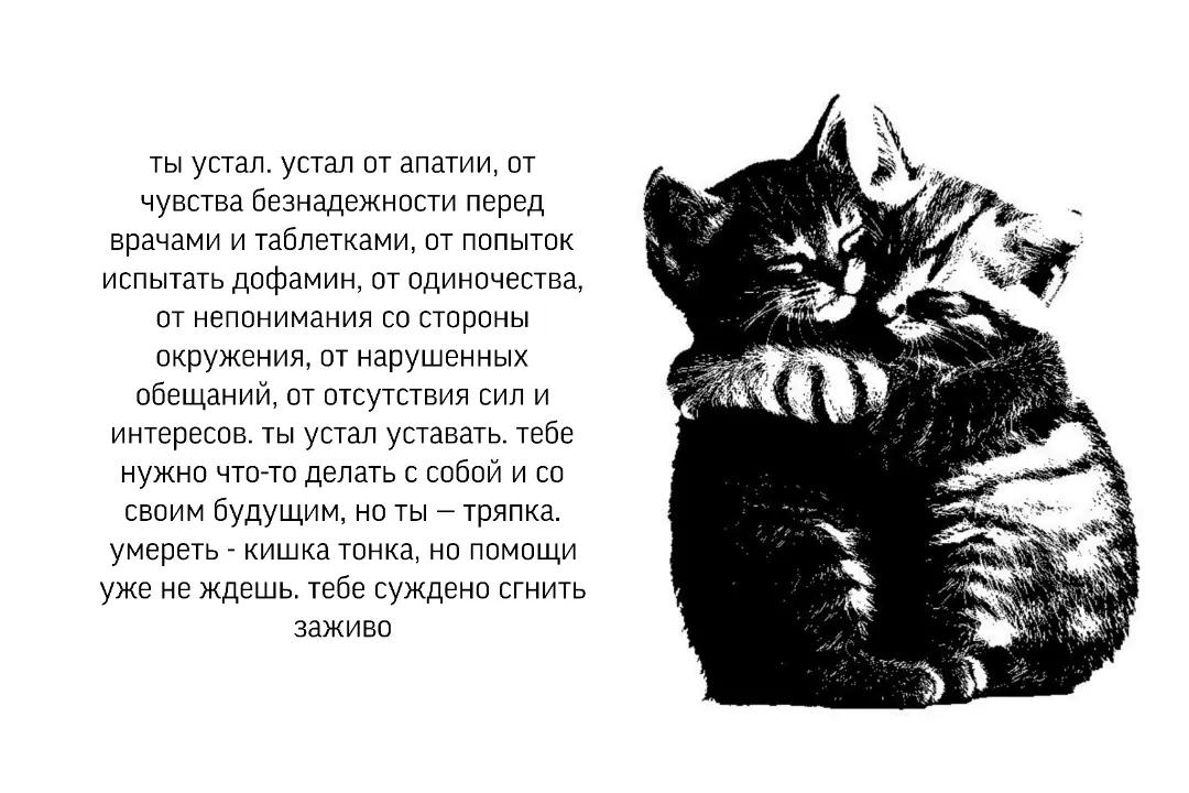 @Айрис.