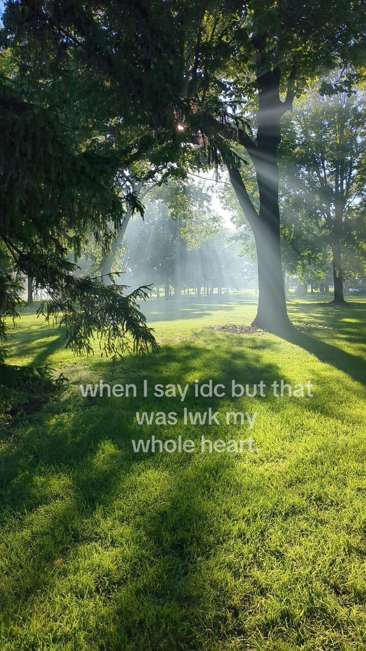 @⃟