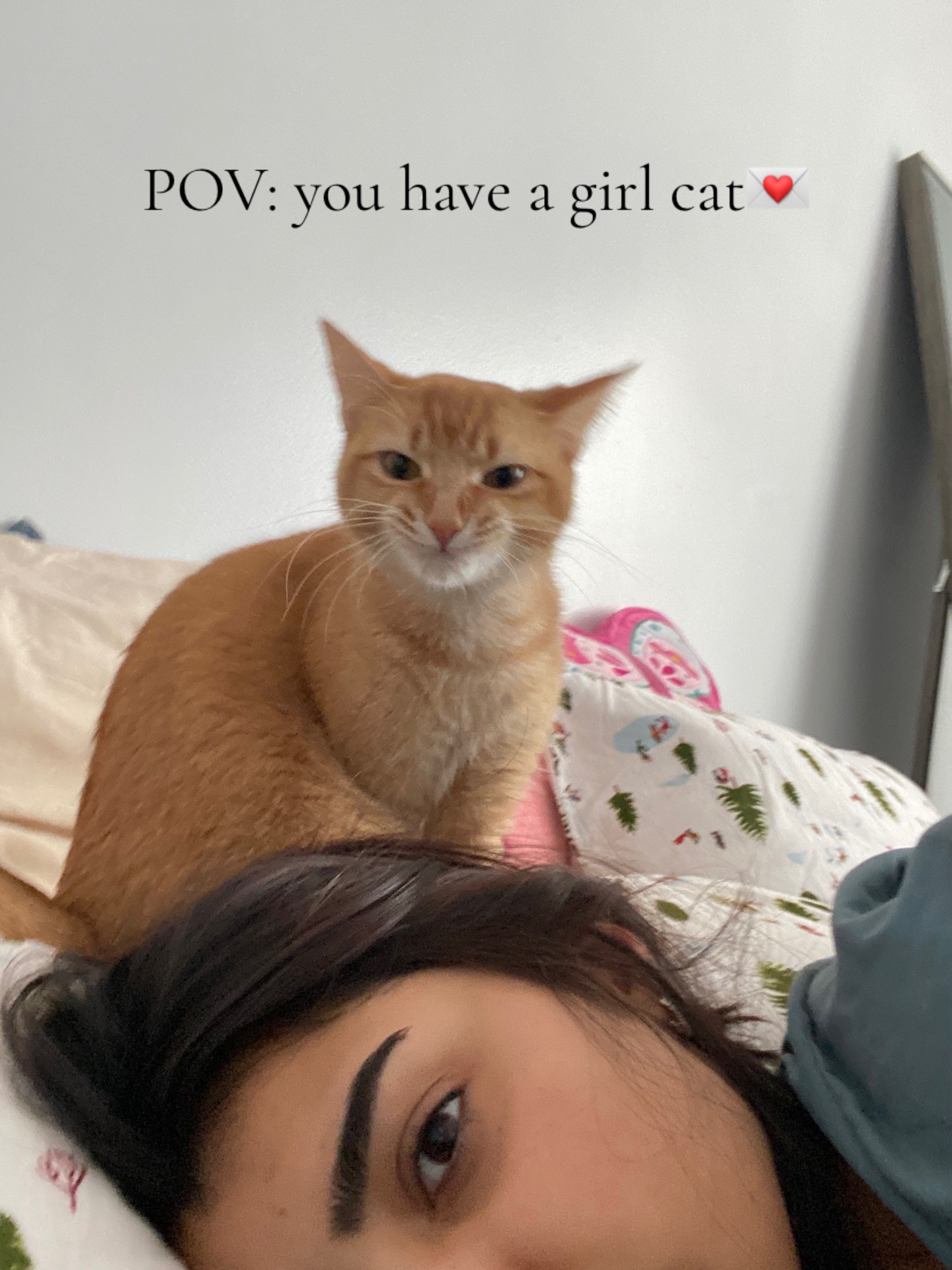 @vidasattic