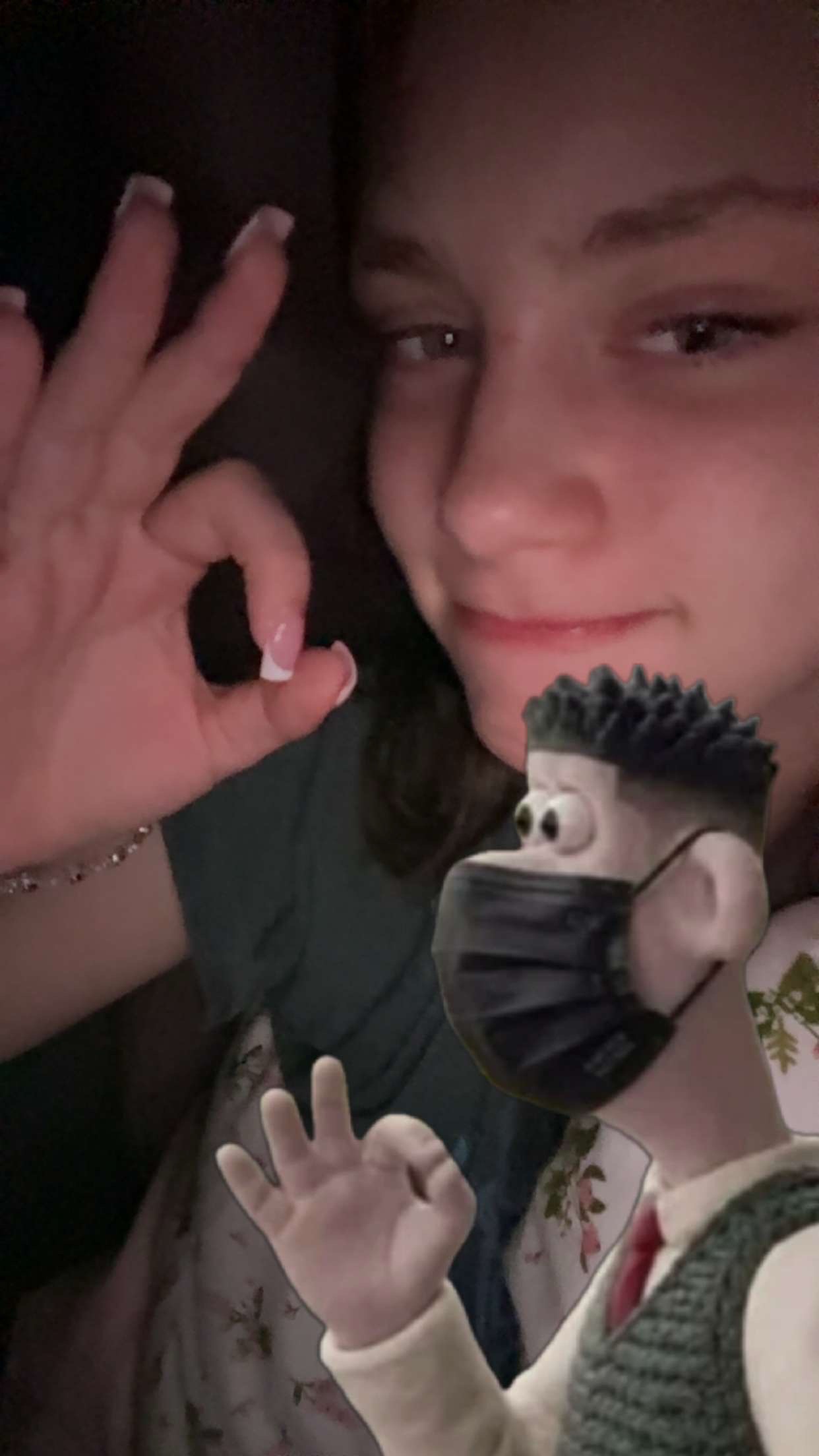 @🦨car