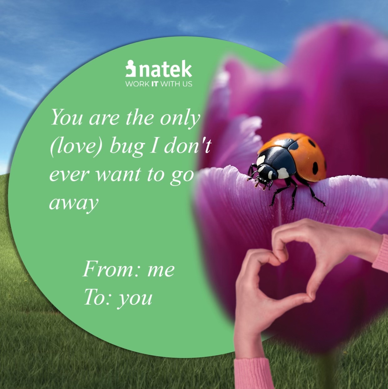 @natek.eu