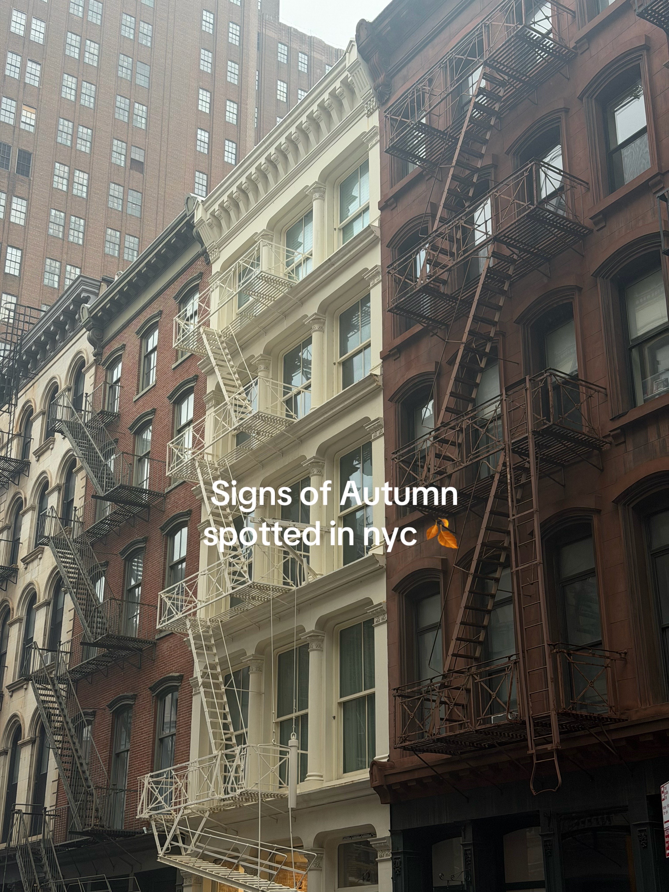 @Lauren! NC + NYC photographer