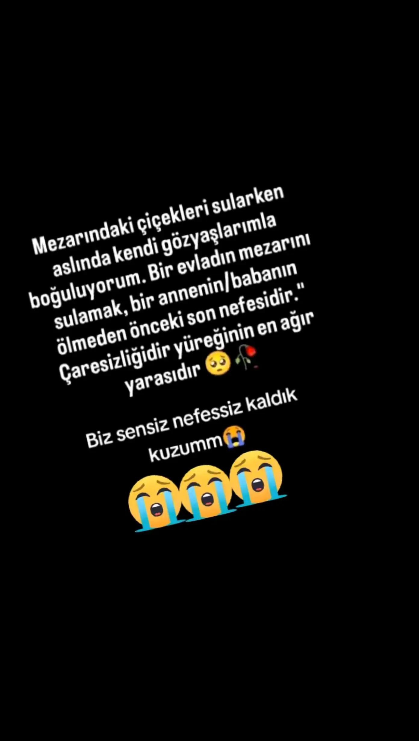 @papatya