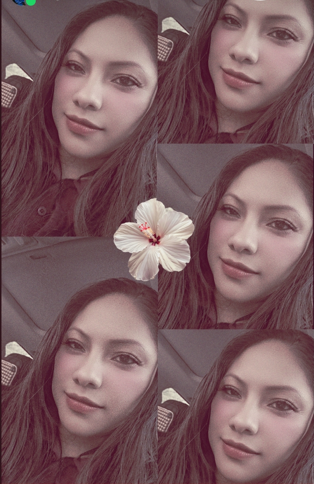 @ingridml35