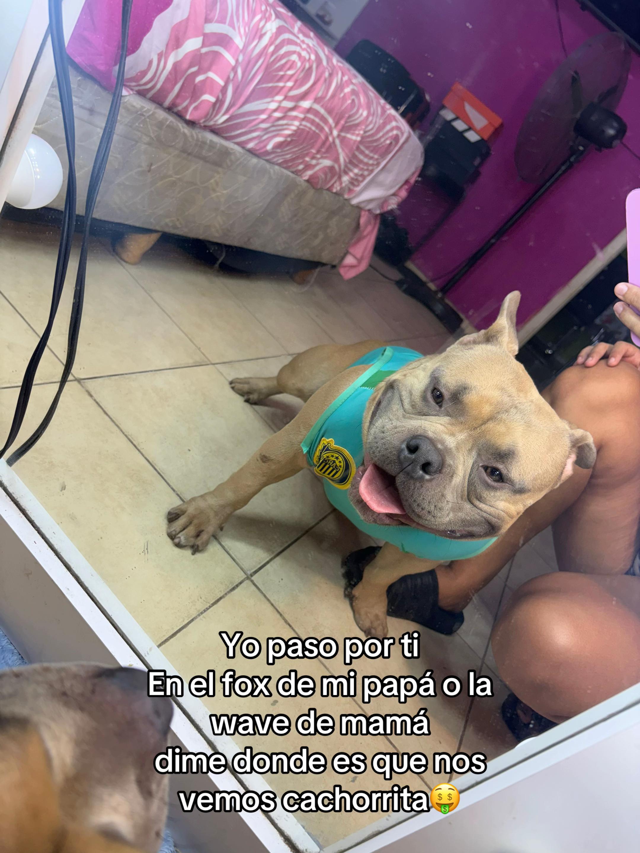 @More Luz