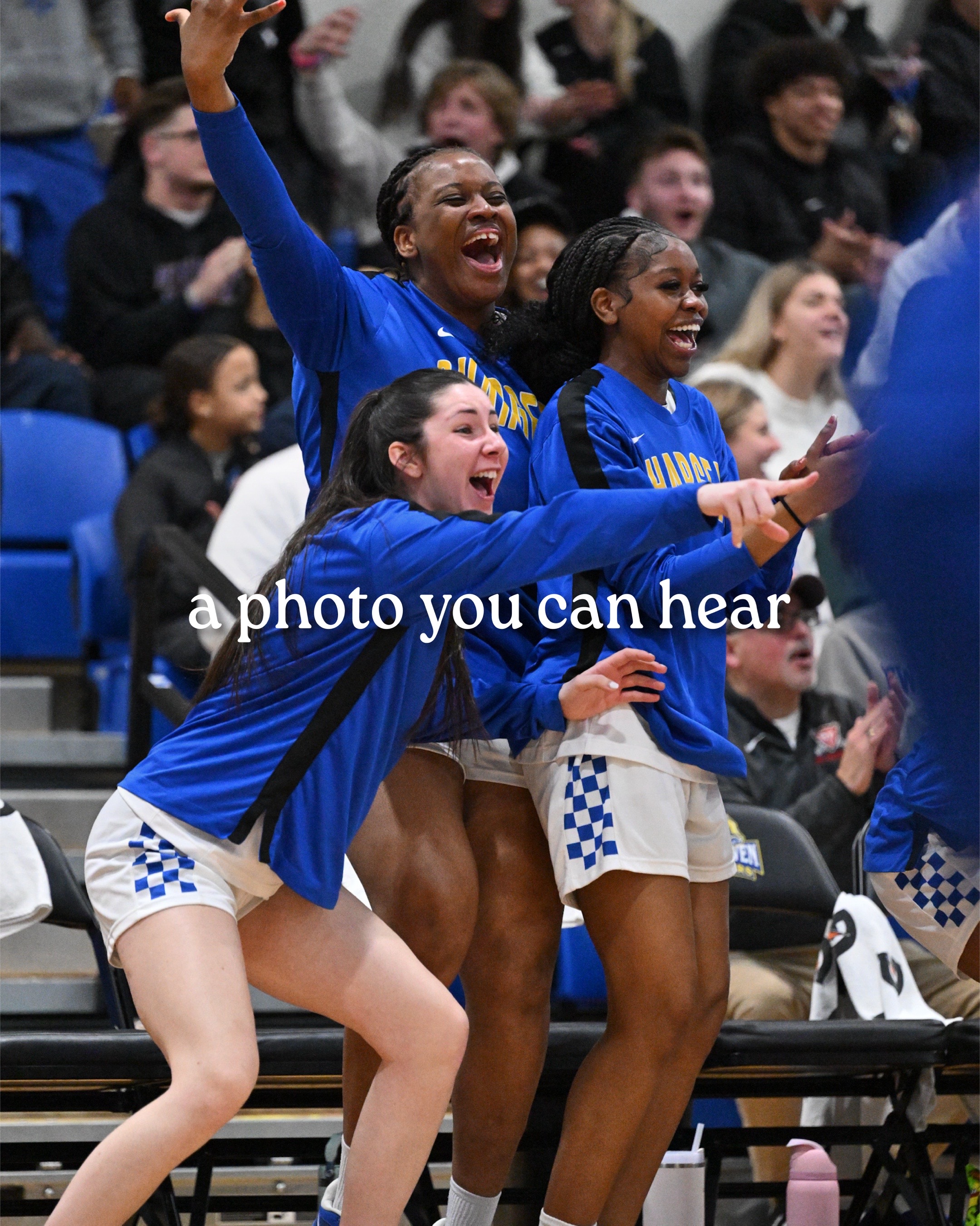 @University of New Haven