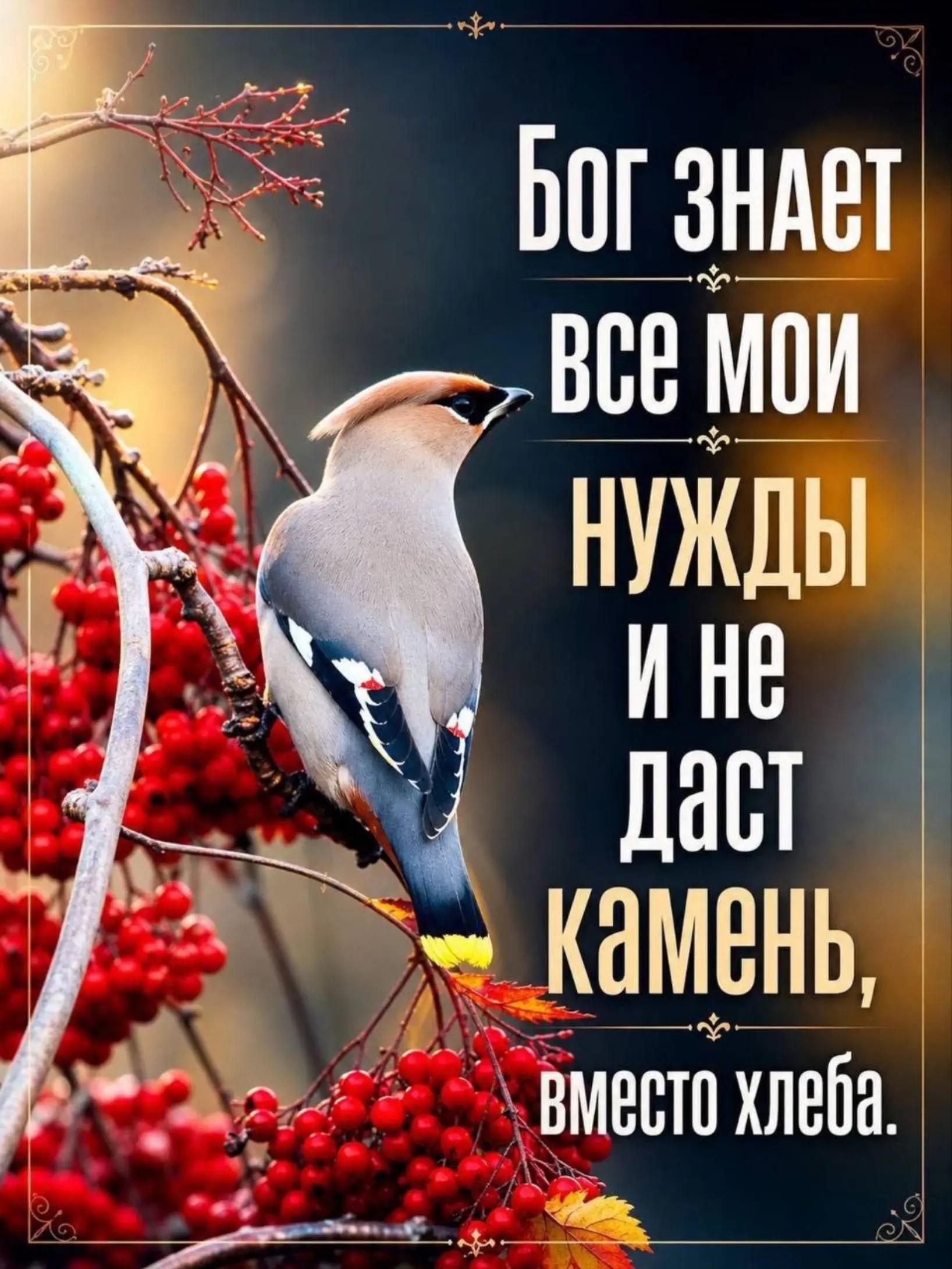 @user6103751502842светлана
